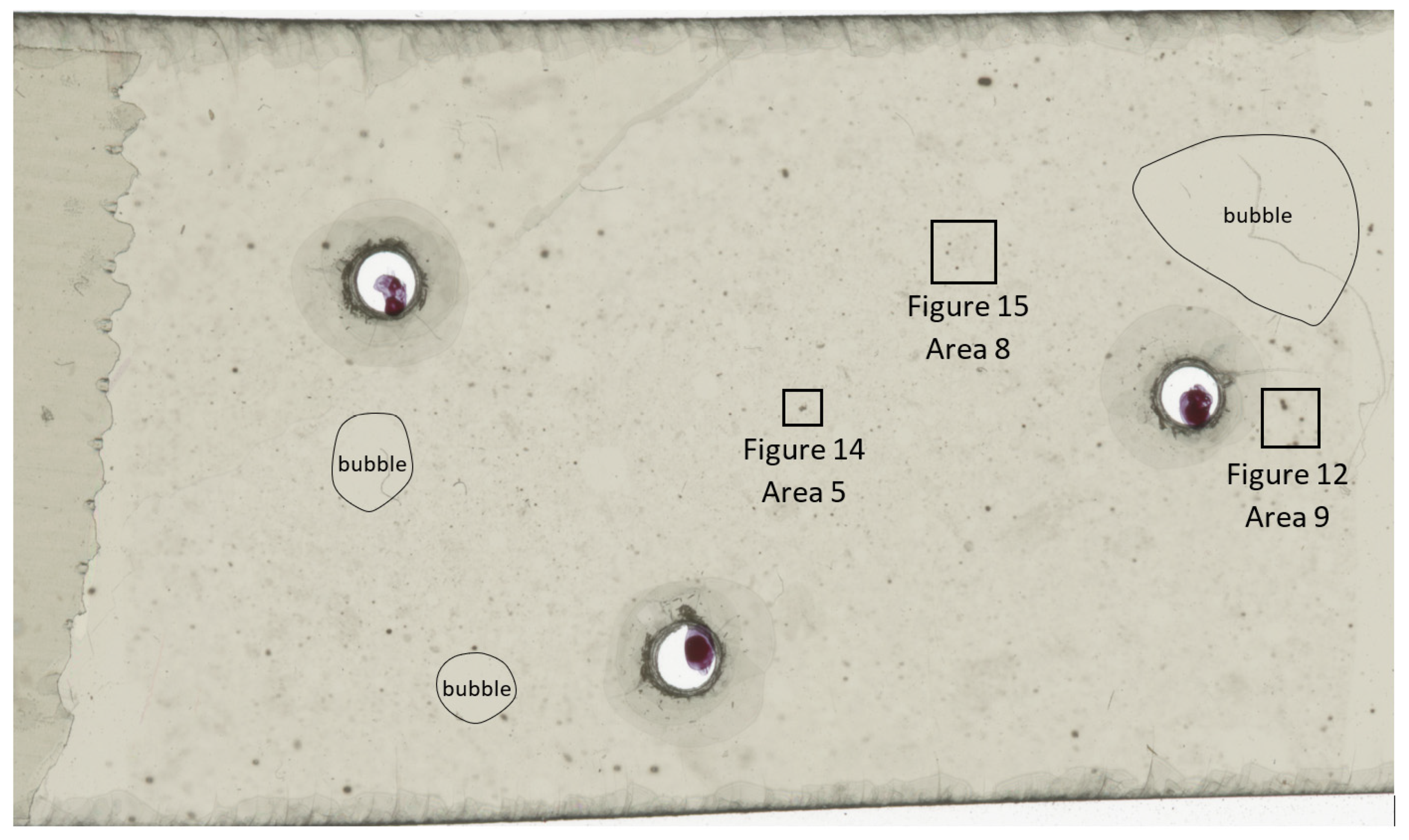 Geosciences 11 00294 g008 550