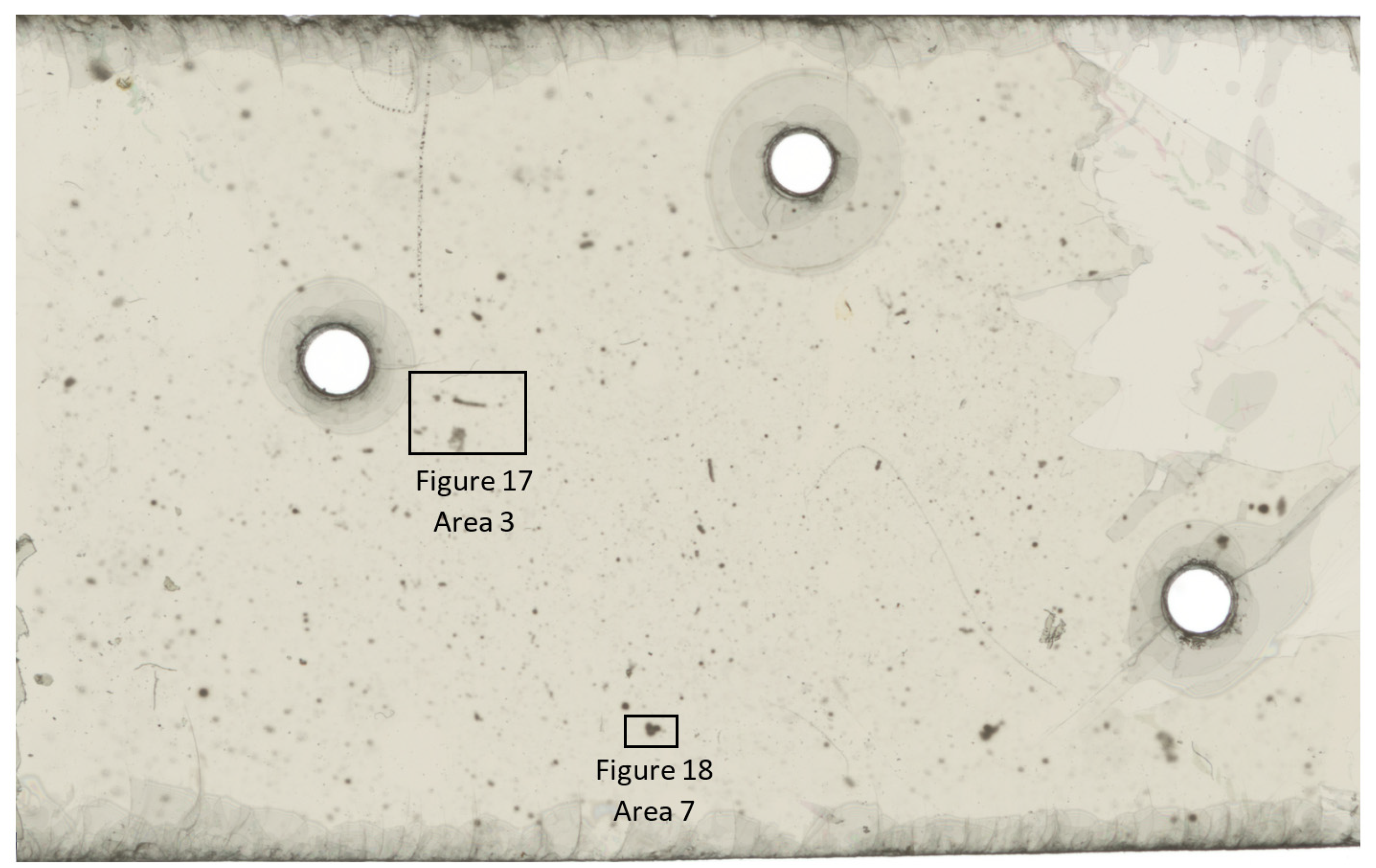 Geosciences 11 00294 g009 550