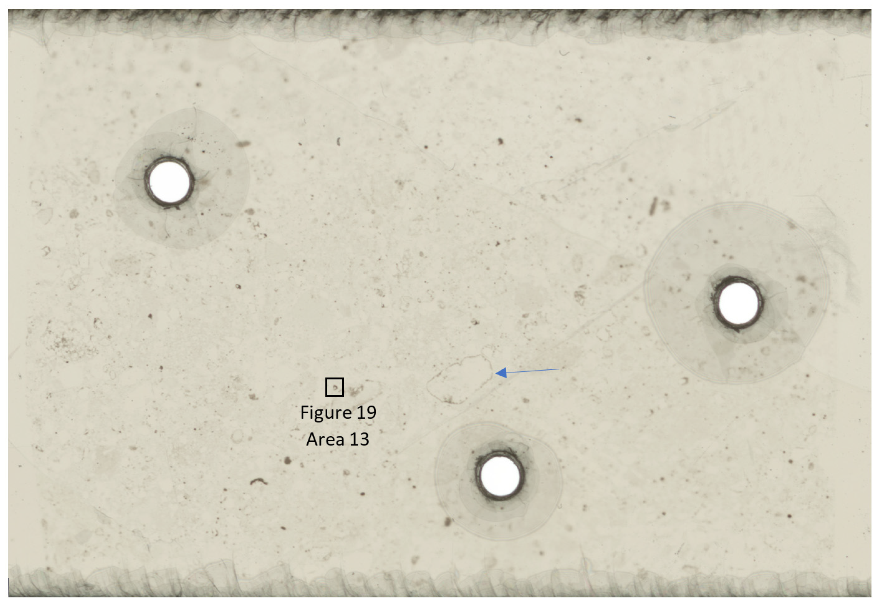 Geosciences 11 00294 g010 550