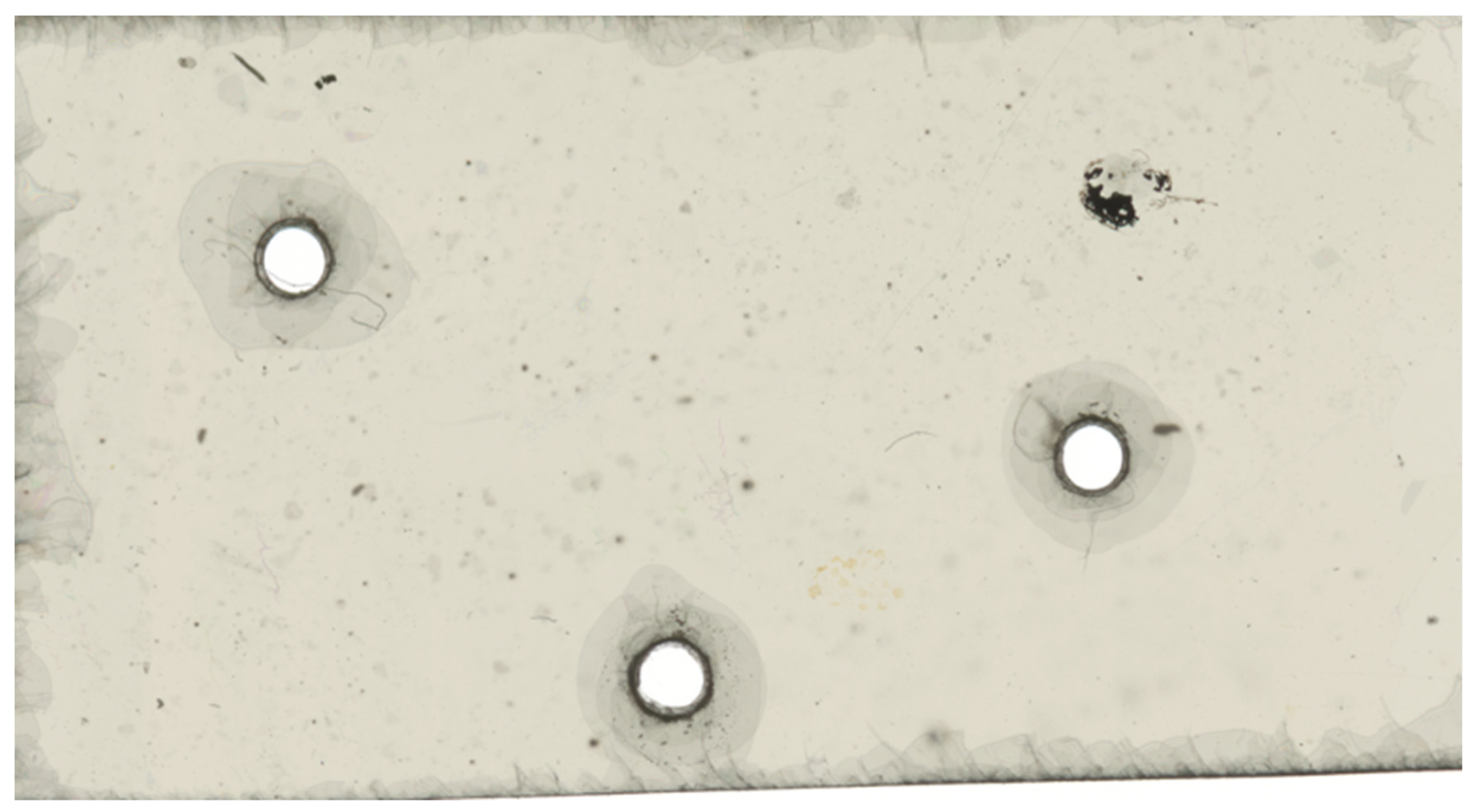 Geosciences 11 00294 g011 550