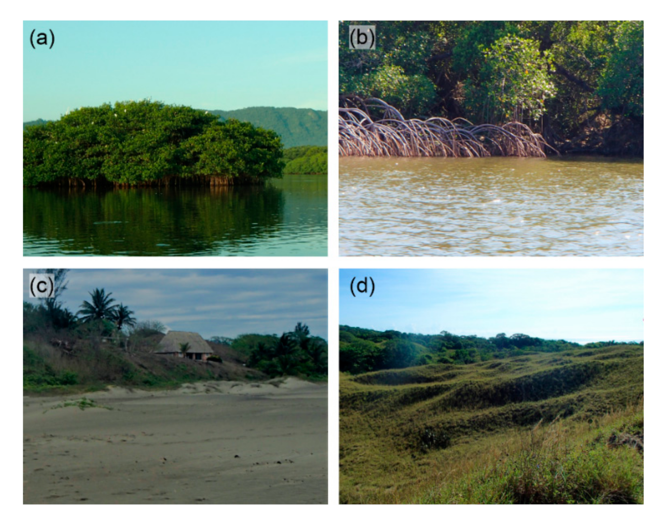 Geosciences 11 00301 g003 Geosciences 11 00301 g003