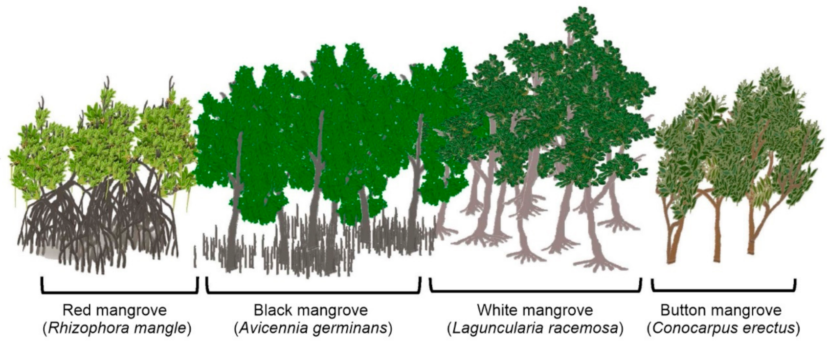 Geosciences 11 00301 g010 Geosciences 11 00301 g010