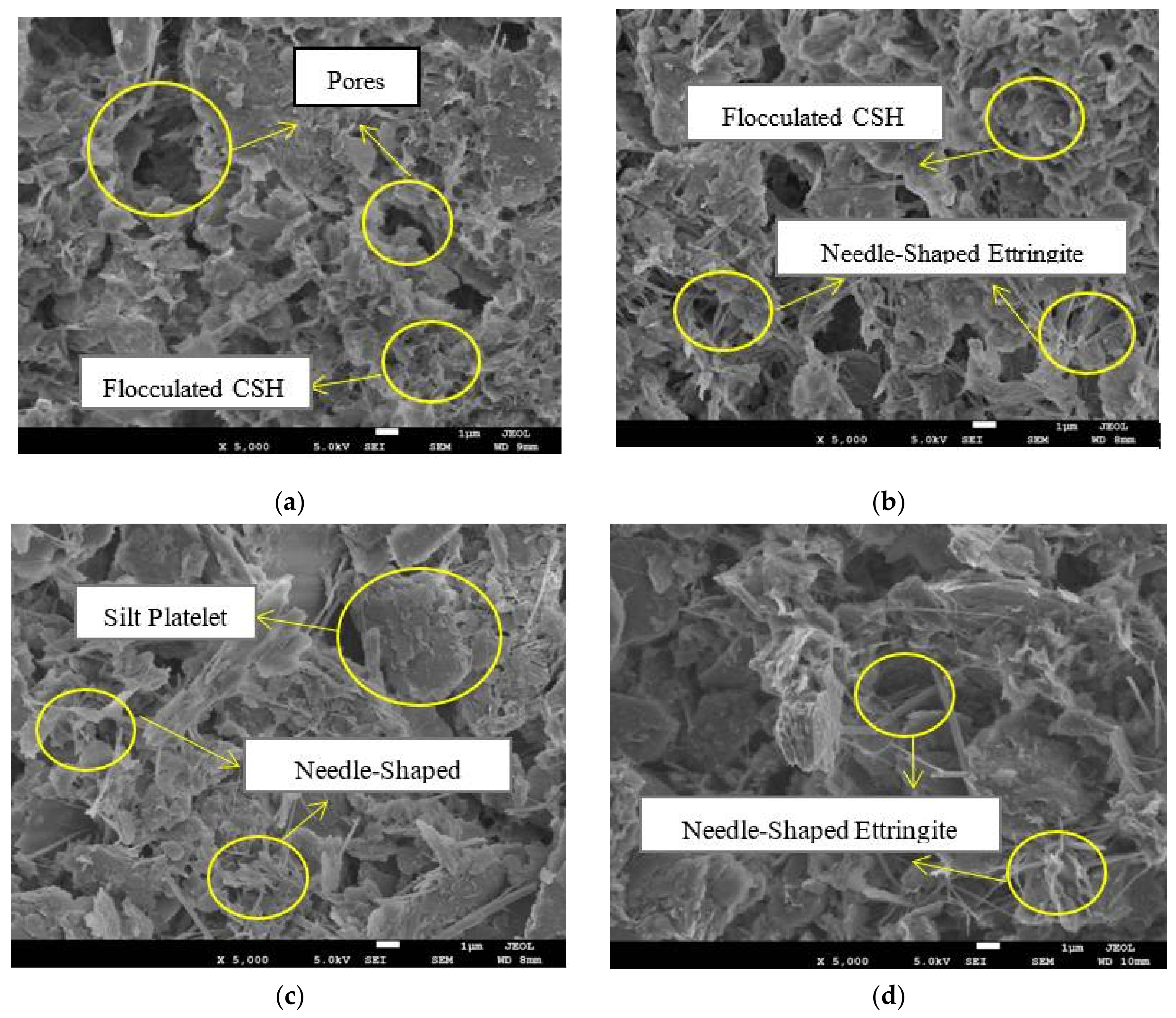 Geosciences 11 00302 g012