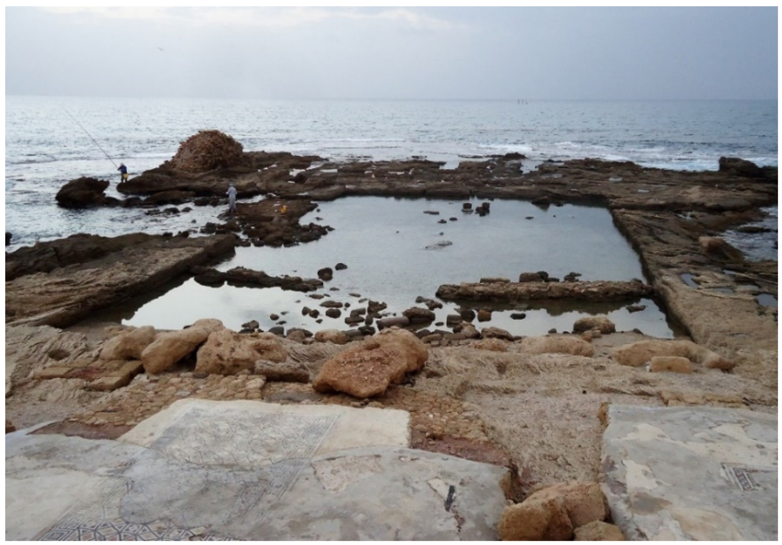 Geosciences 11 00306 g008 550