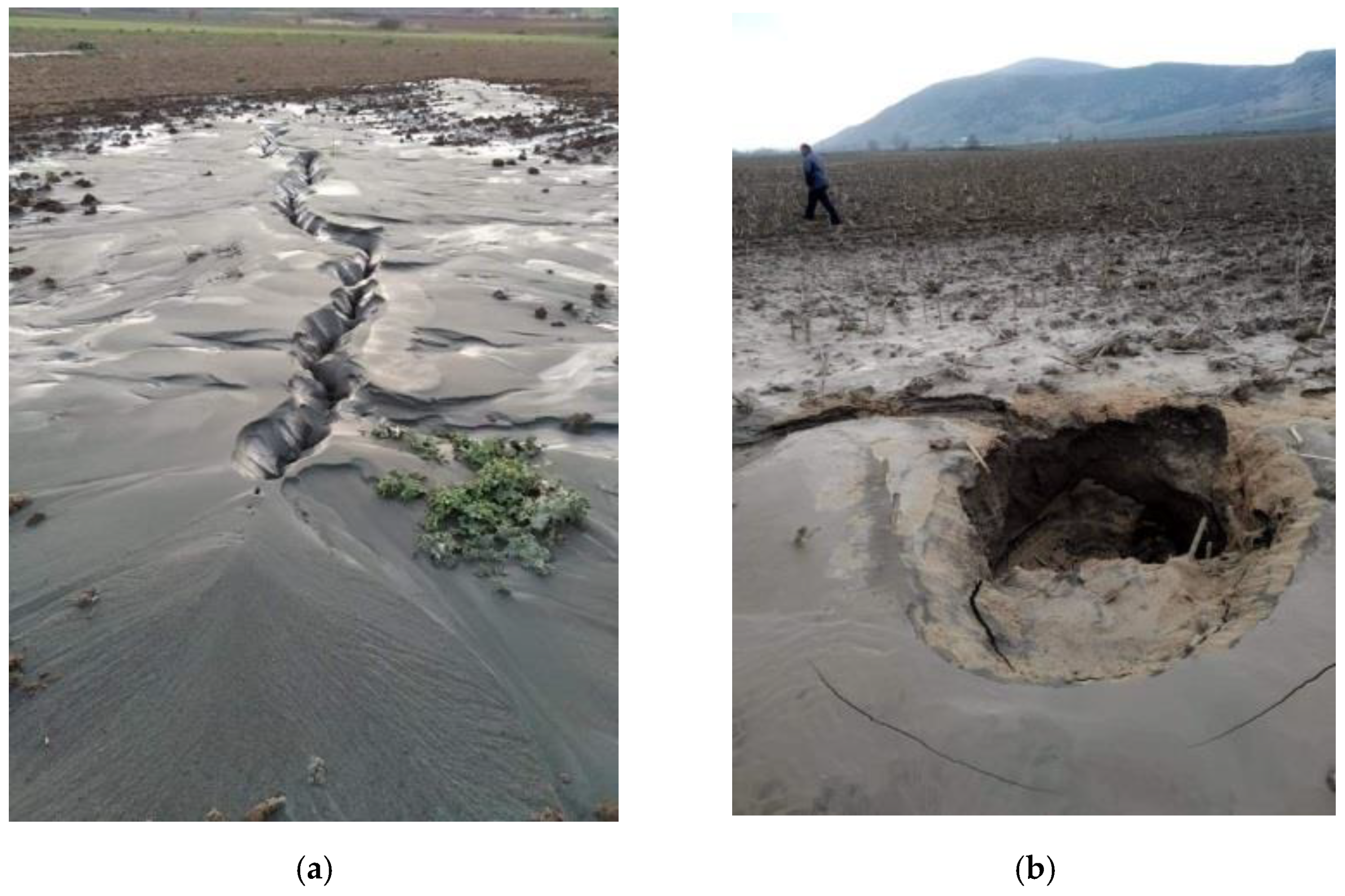 Geosciences 11 00311 g003