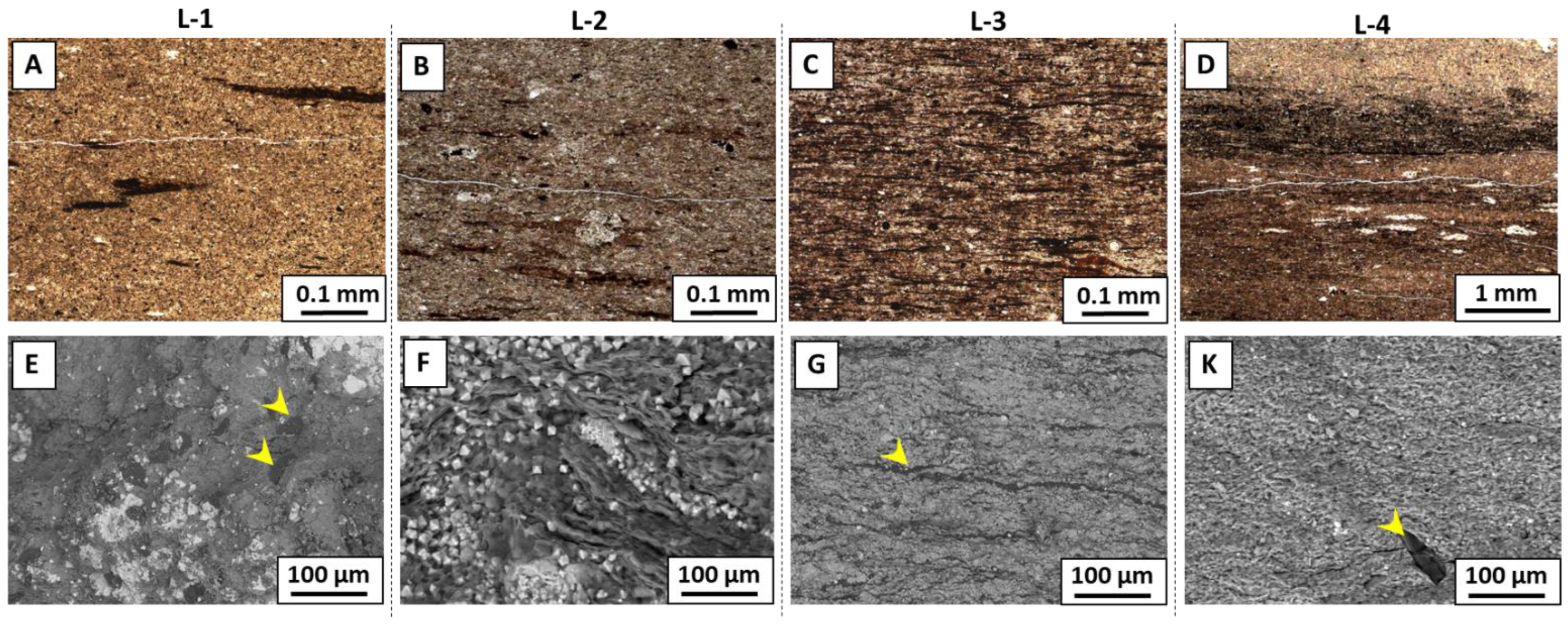 Geosciences 11 00320 g003