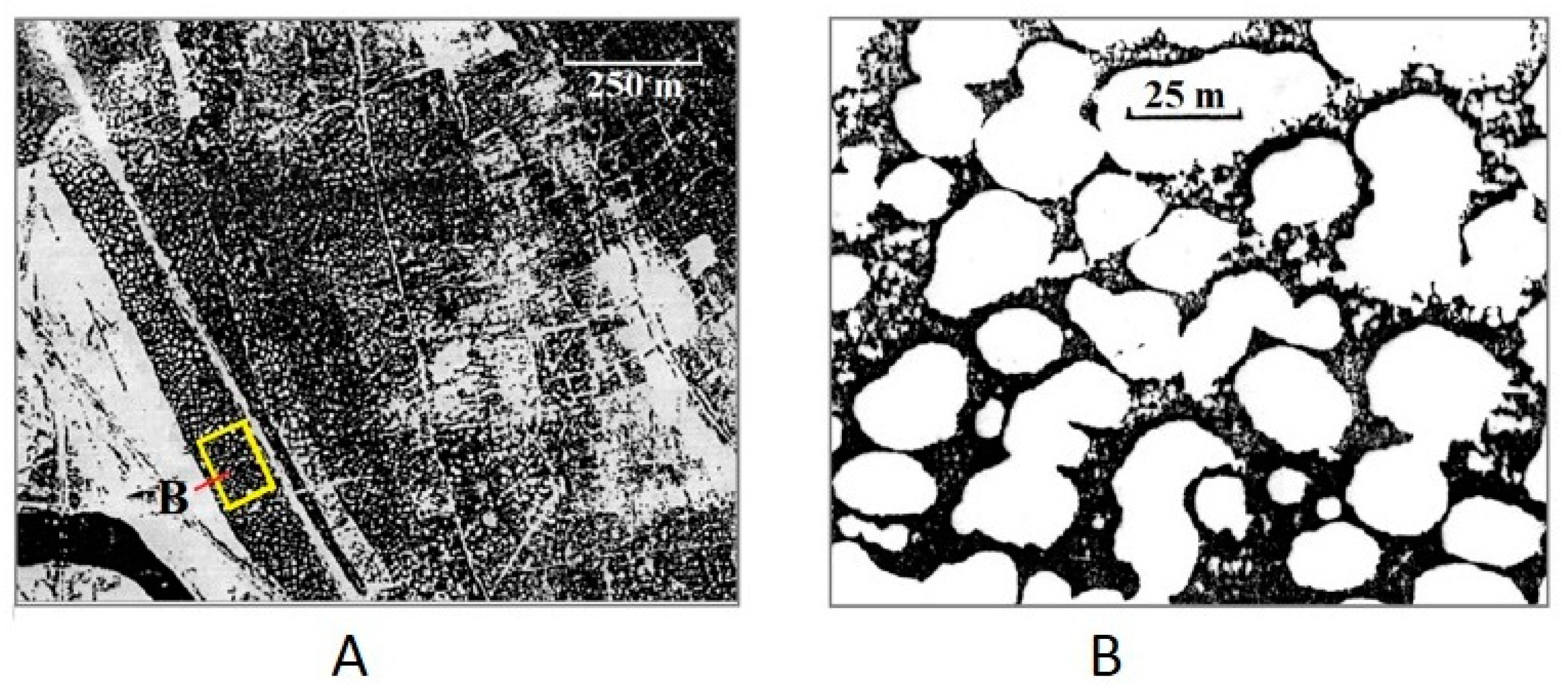 Geosciences 11 00323 g010 Geosciences 11 00323 g010