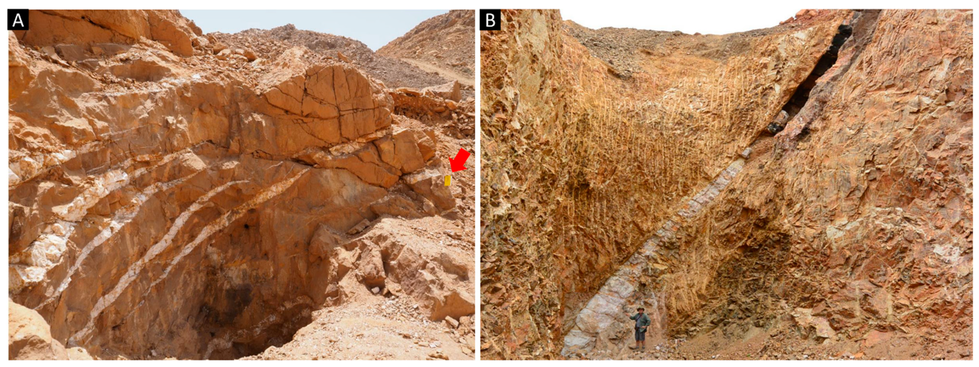 Geosciences Free Full Text The Neglected Involvement Of Organic Matter In Forming Large And Rich Hydrothermal Orogenic Gold Deposits Html