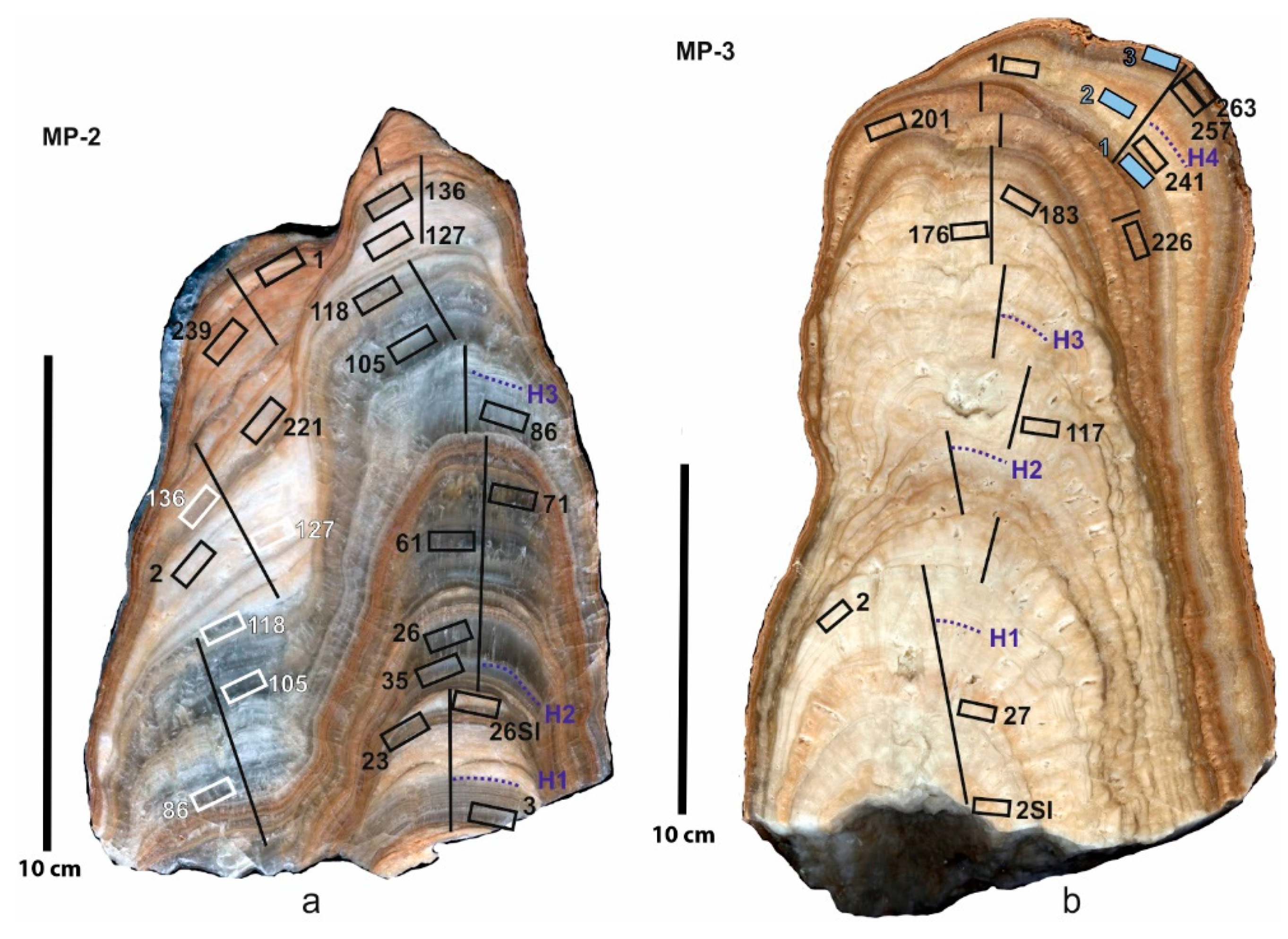 Geosciences 11 00347 g002