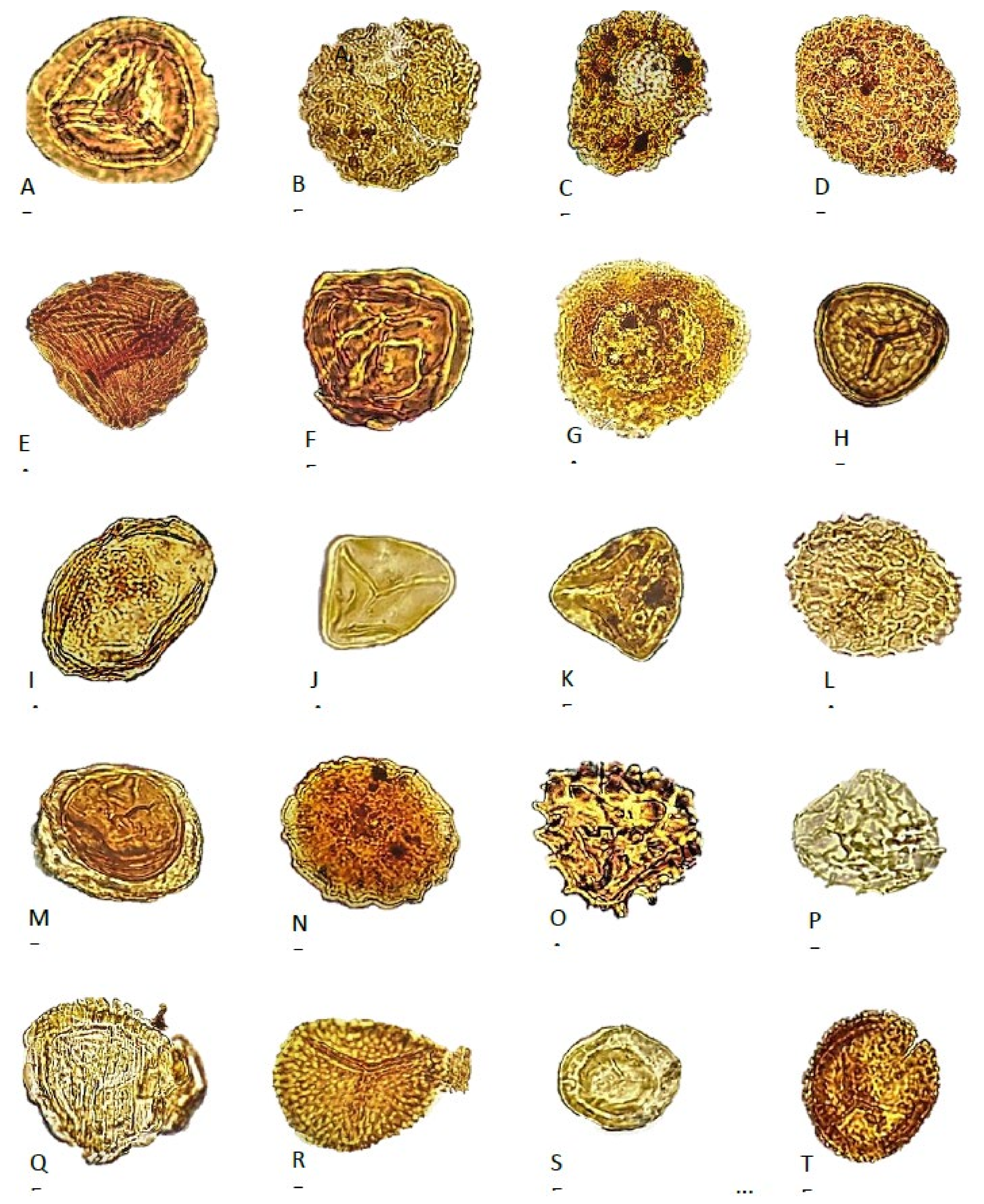 Geosciences 11 00354 g007