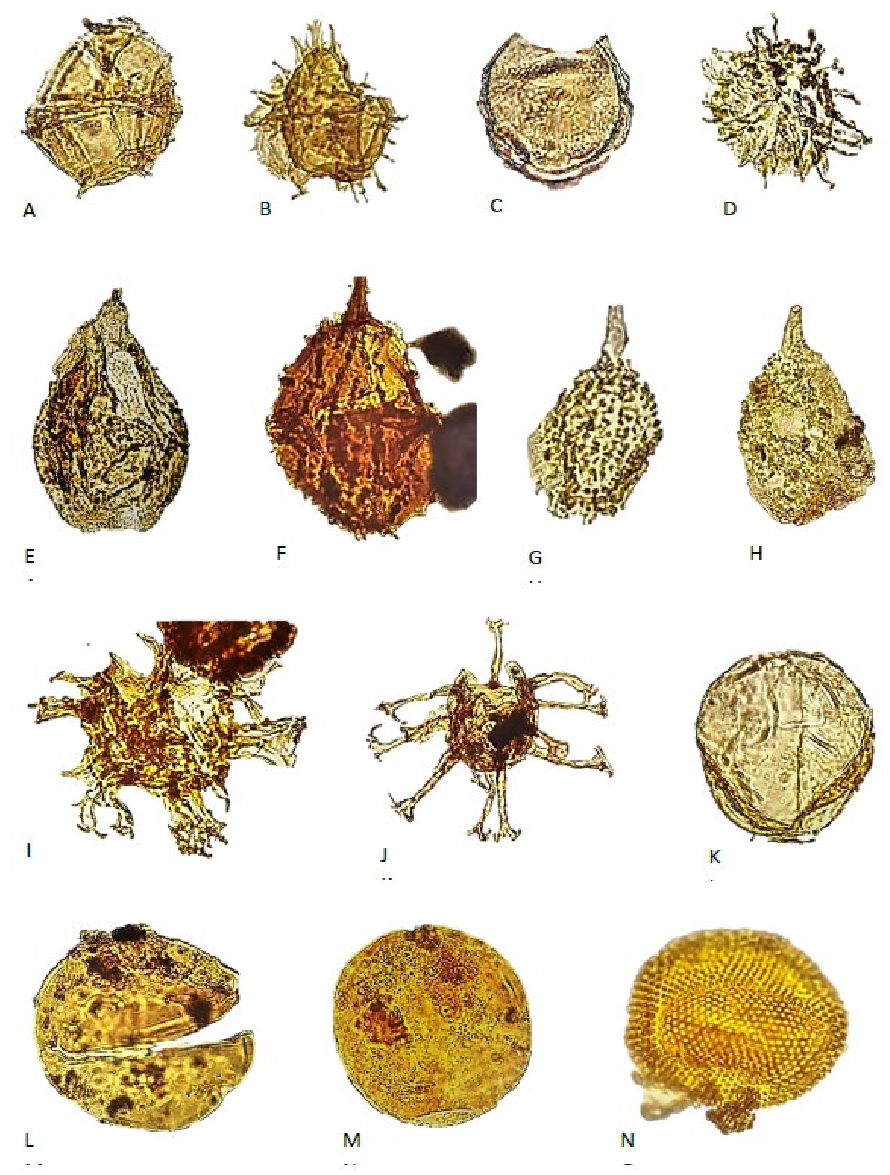 Geosciences 11 00354 g008