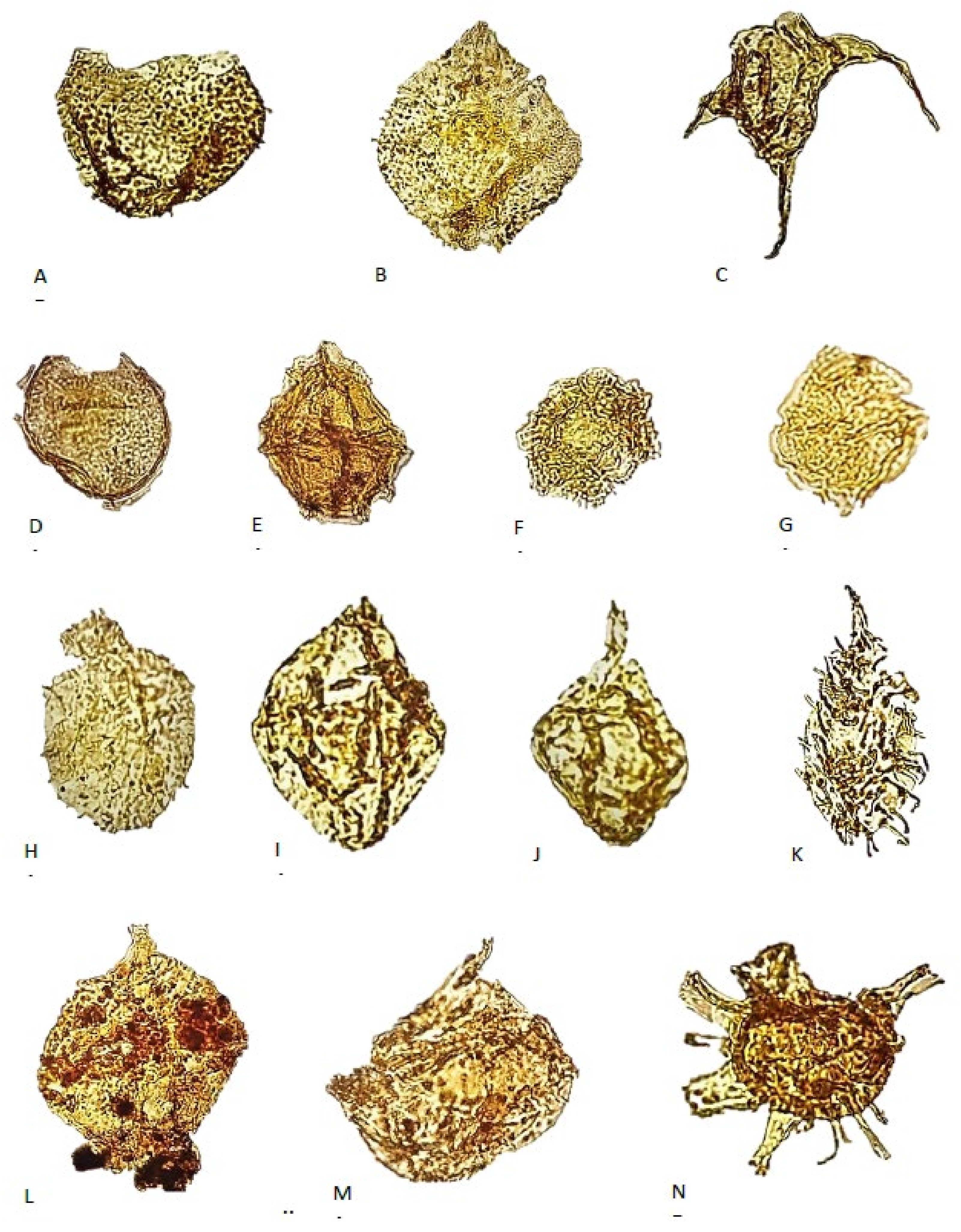 Geosciences 11 00354 g009