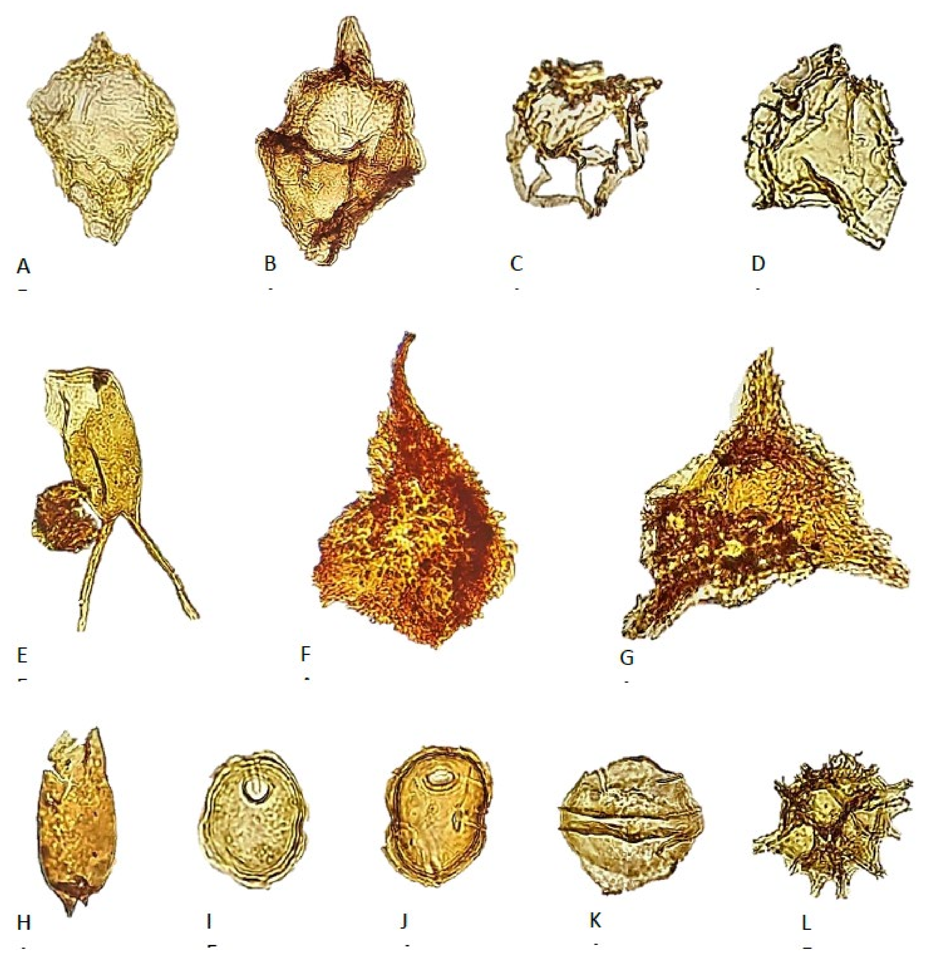 Geosciences 11 00354 g010