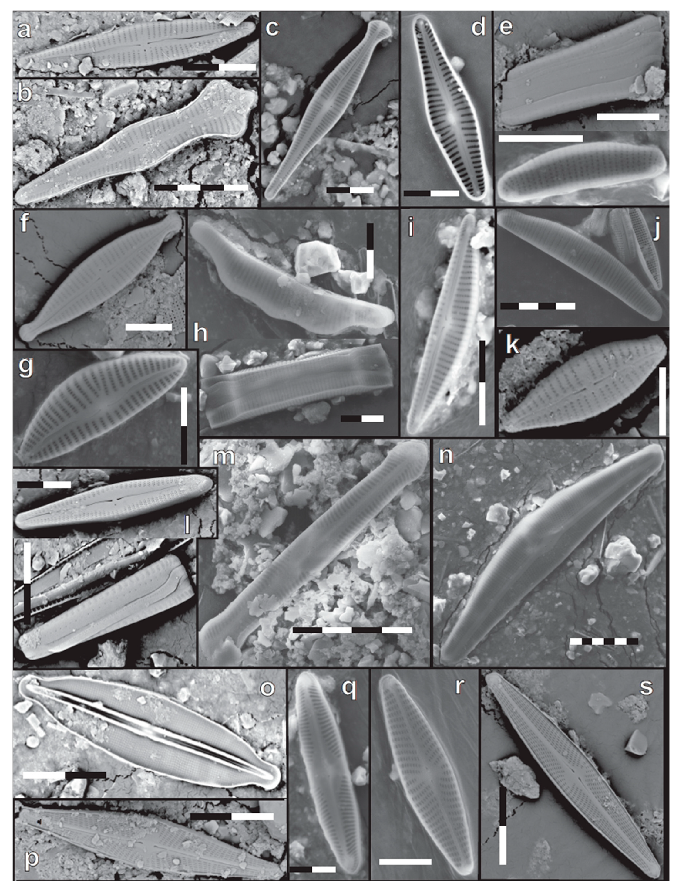 Geosciences 11 00359 g004 Geosciences 11 00359 g004