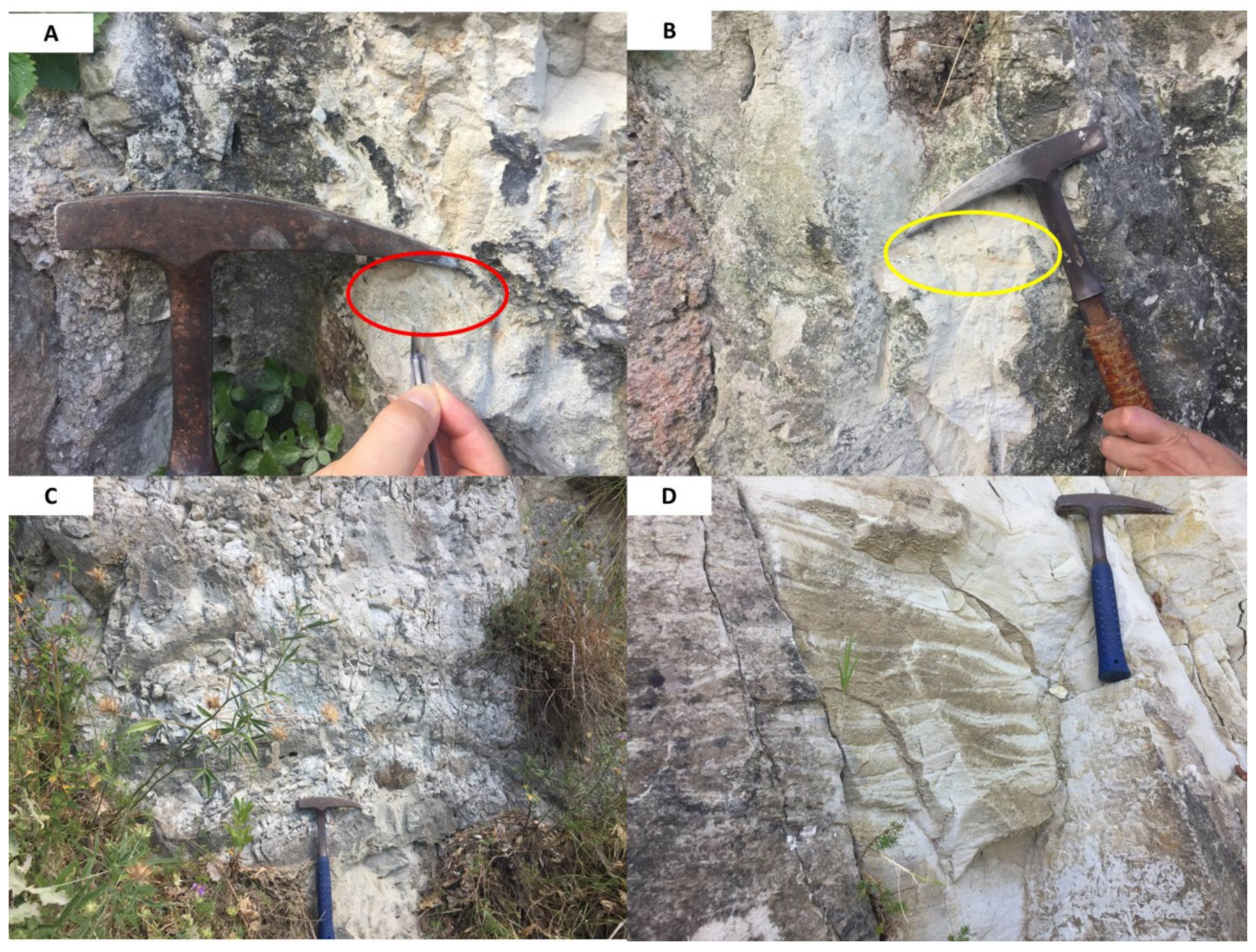 Geosciences 11 00360 g005