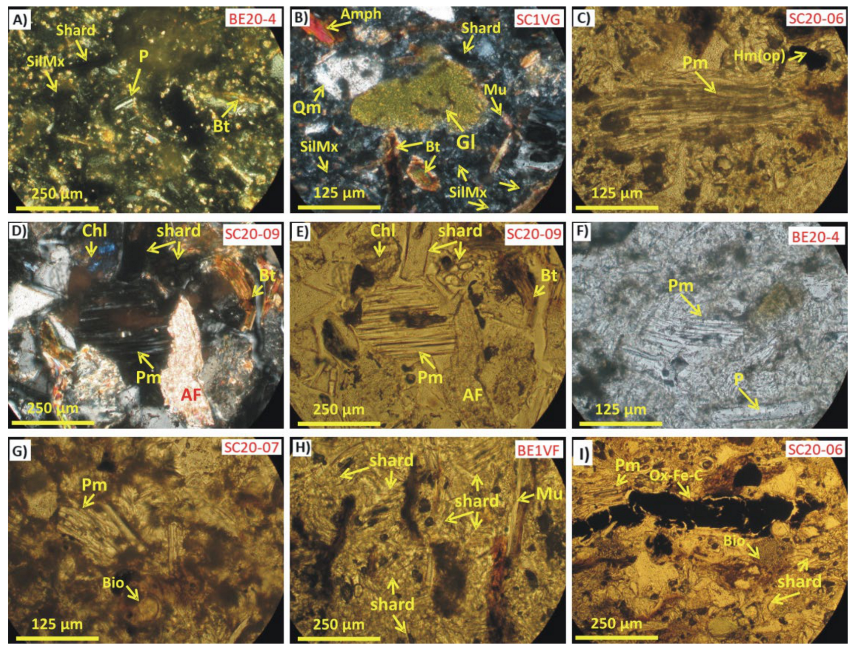Geosciences 11 00360 g006