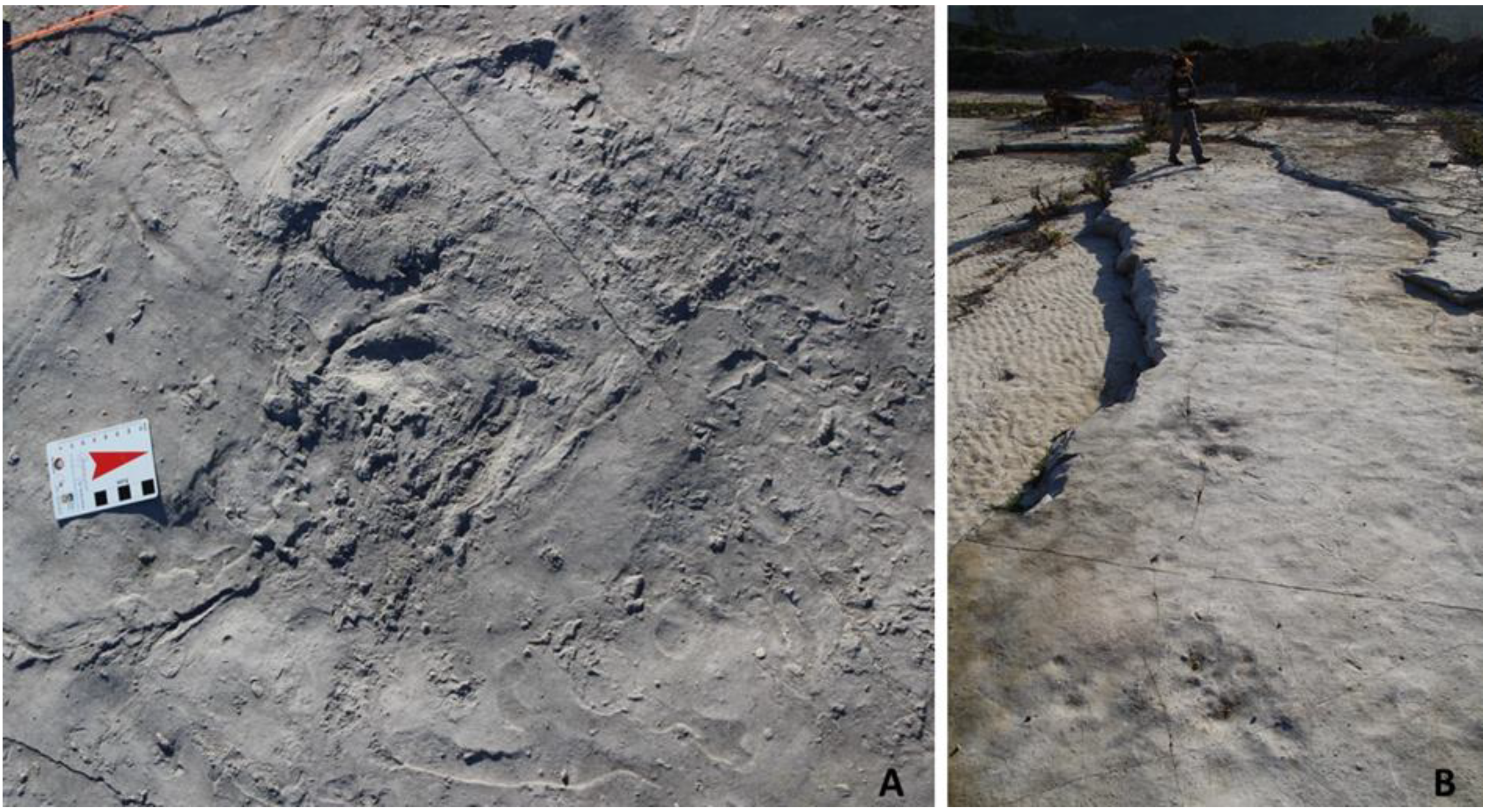 Geosciences 11 00366 g004 550