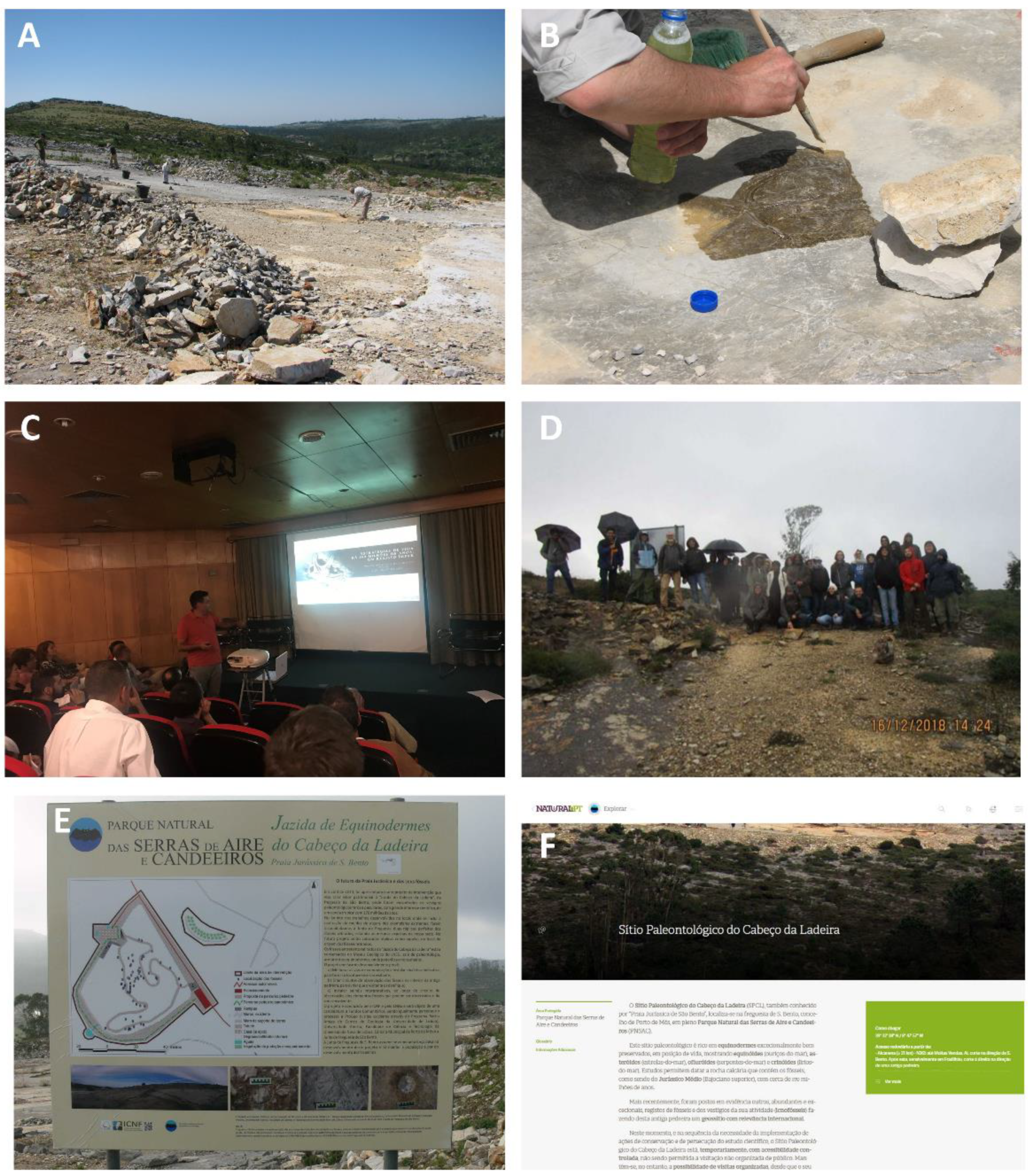 Geosciences 11 00366 g008 550