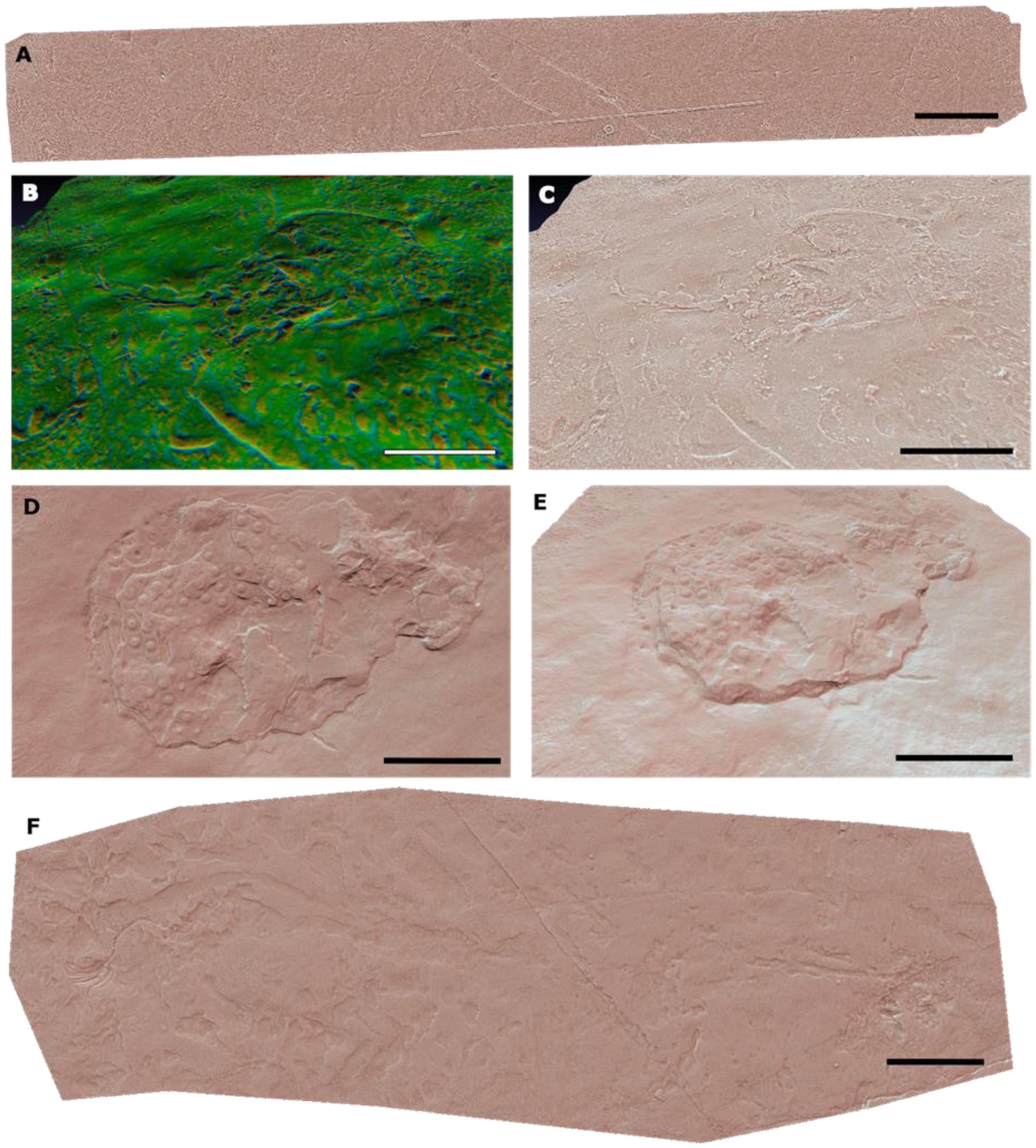 Geosciences 11 00366 g009 550