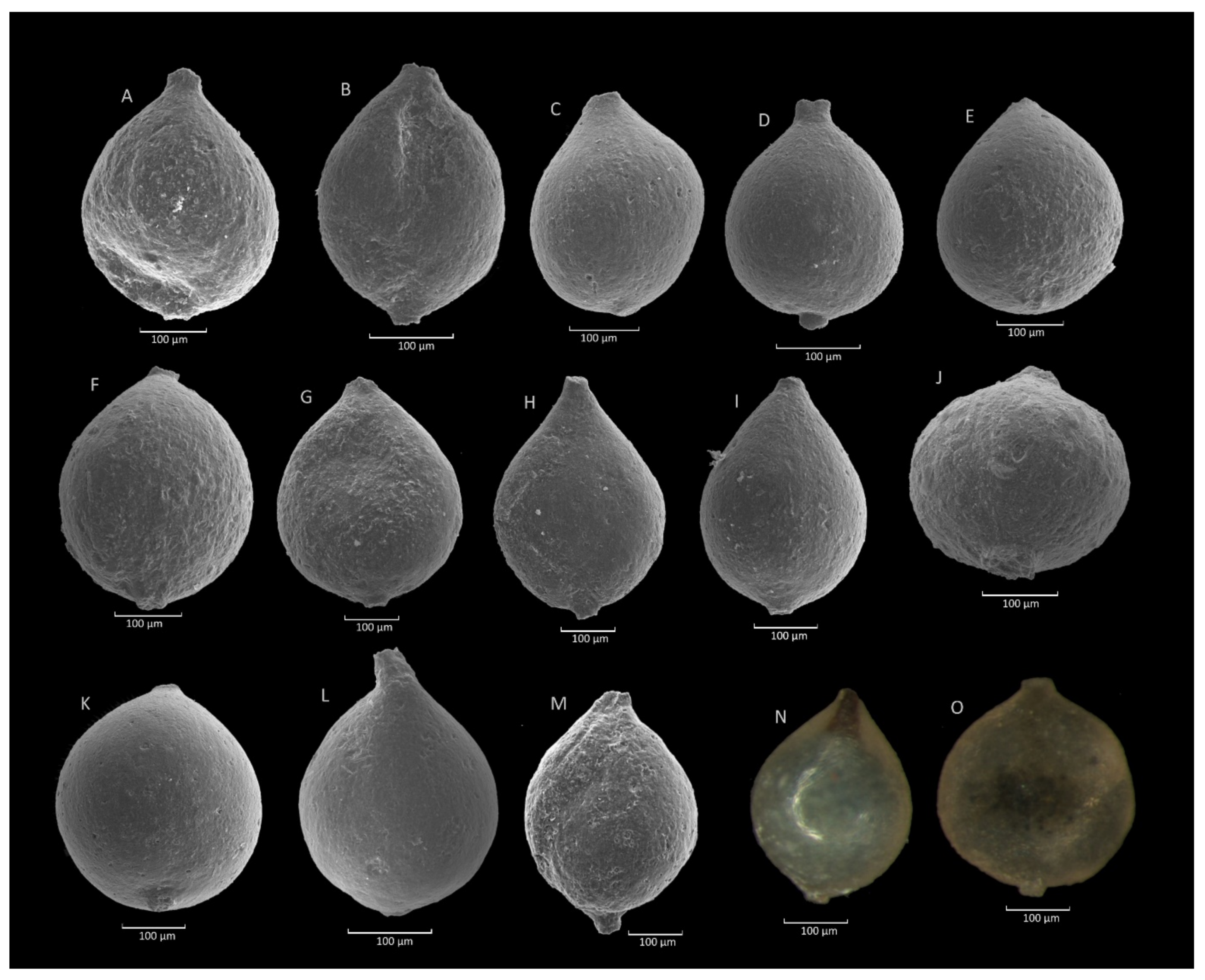 Geosciences 11 00367 g006