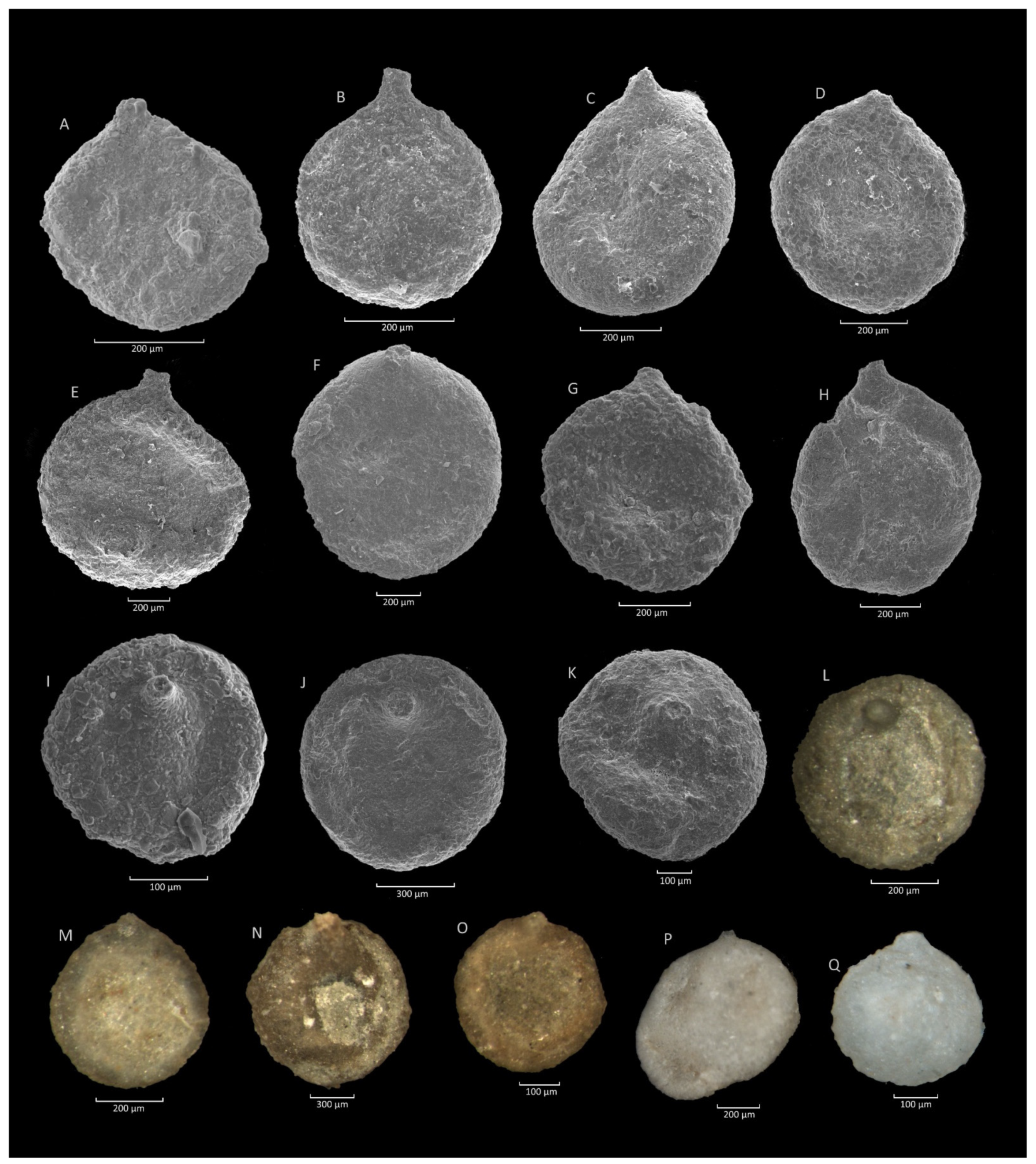 Geosciences 11 00367 g007