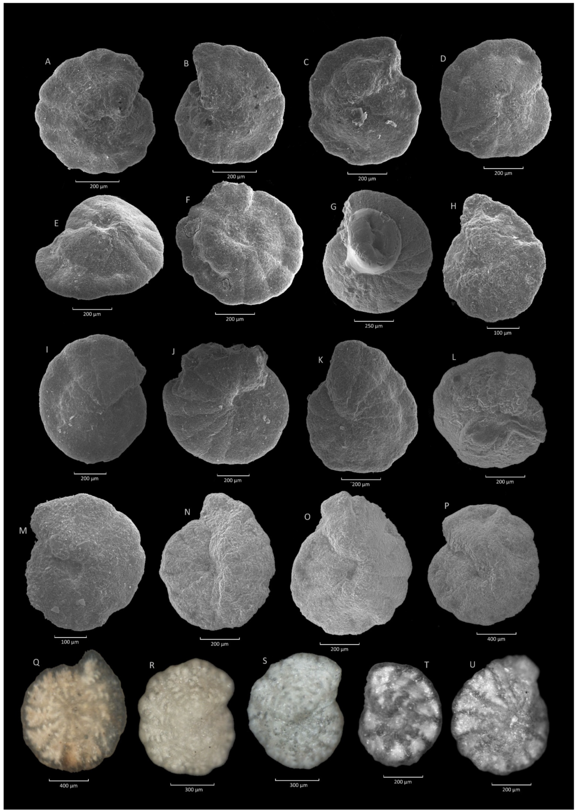 Geosciences 11 00367 g015