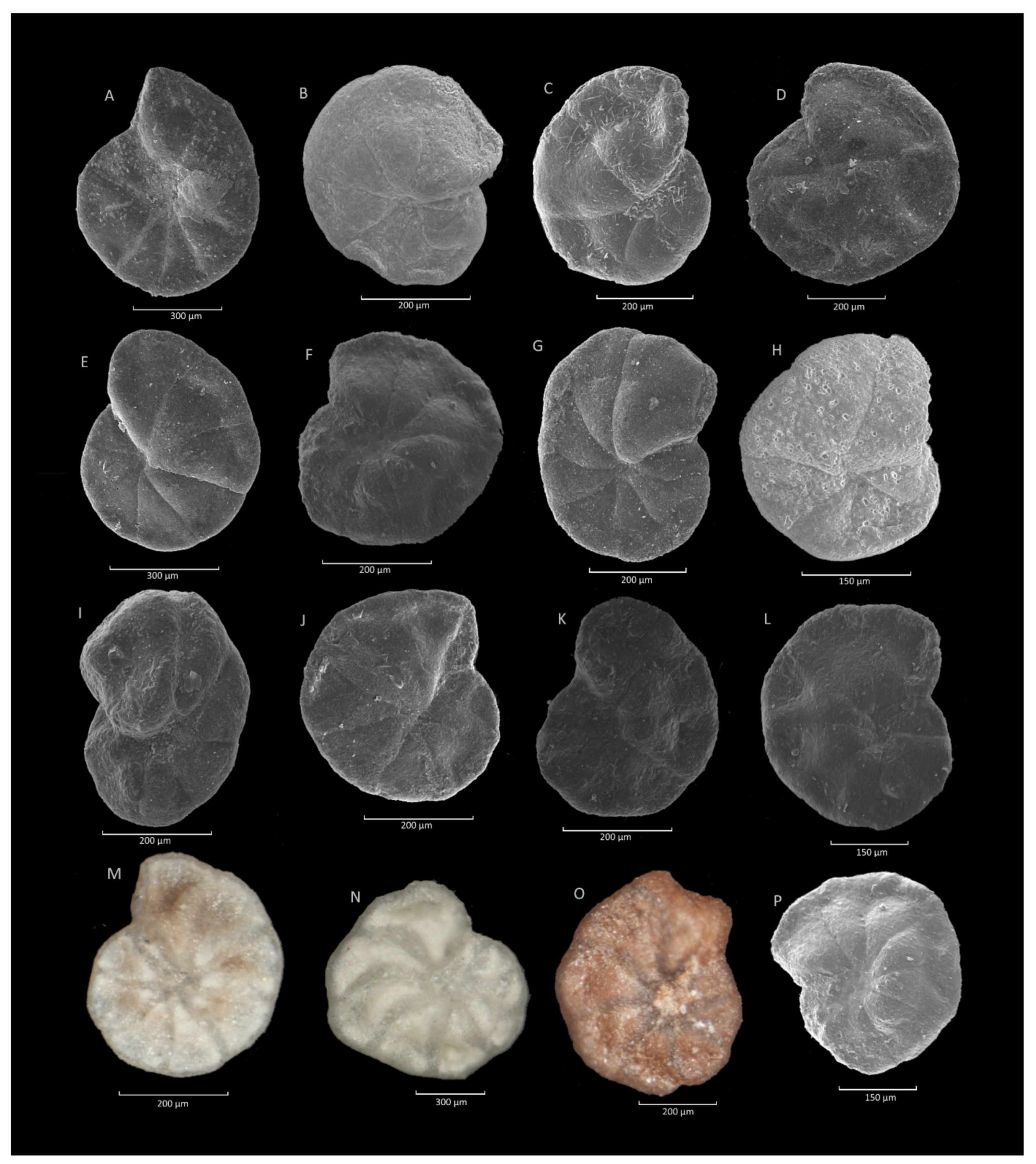 Geosciences 11 00367 g018