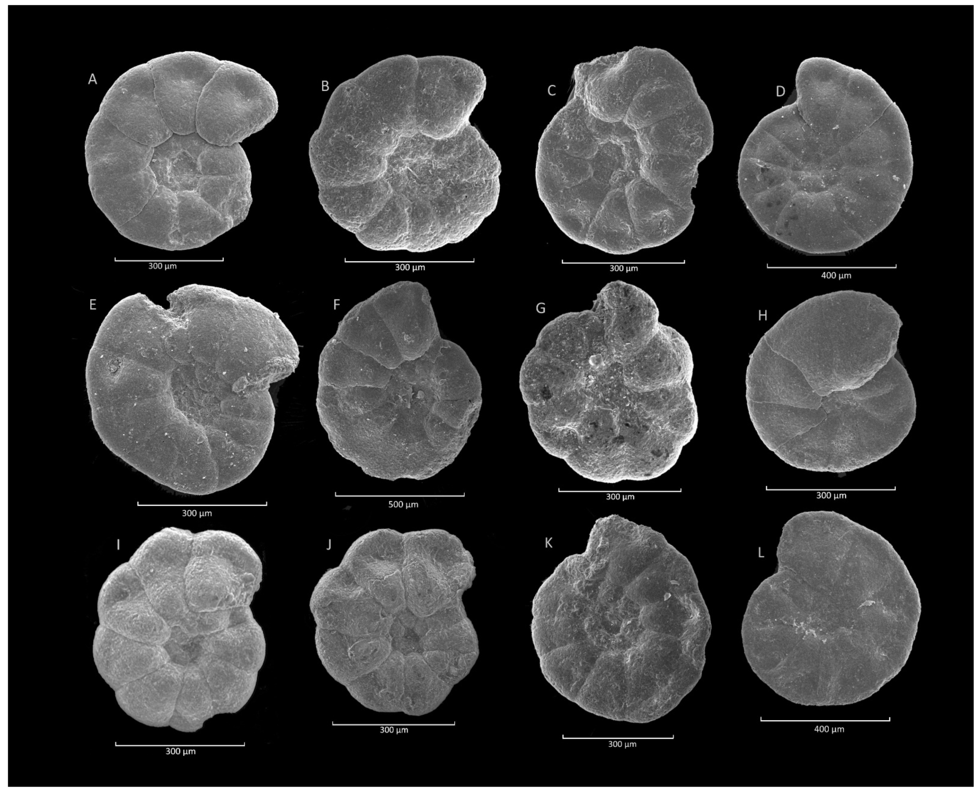 Geosciences 11 00367 g019