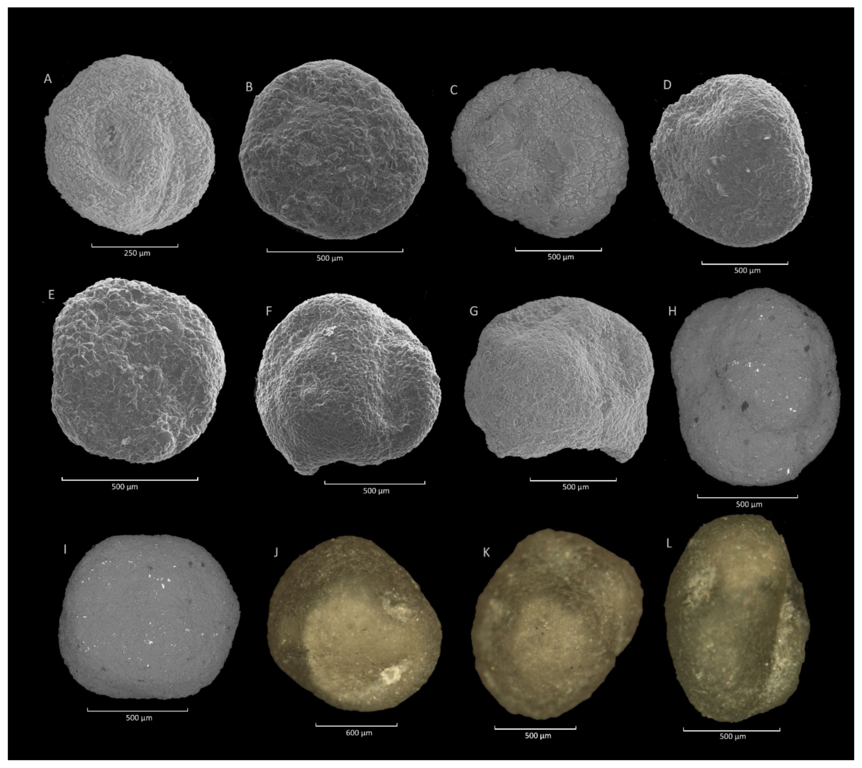 Geosciences 11 00367 g022