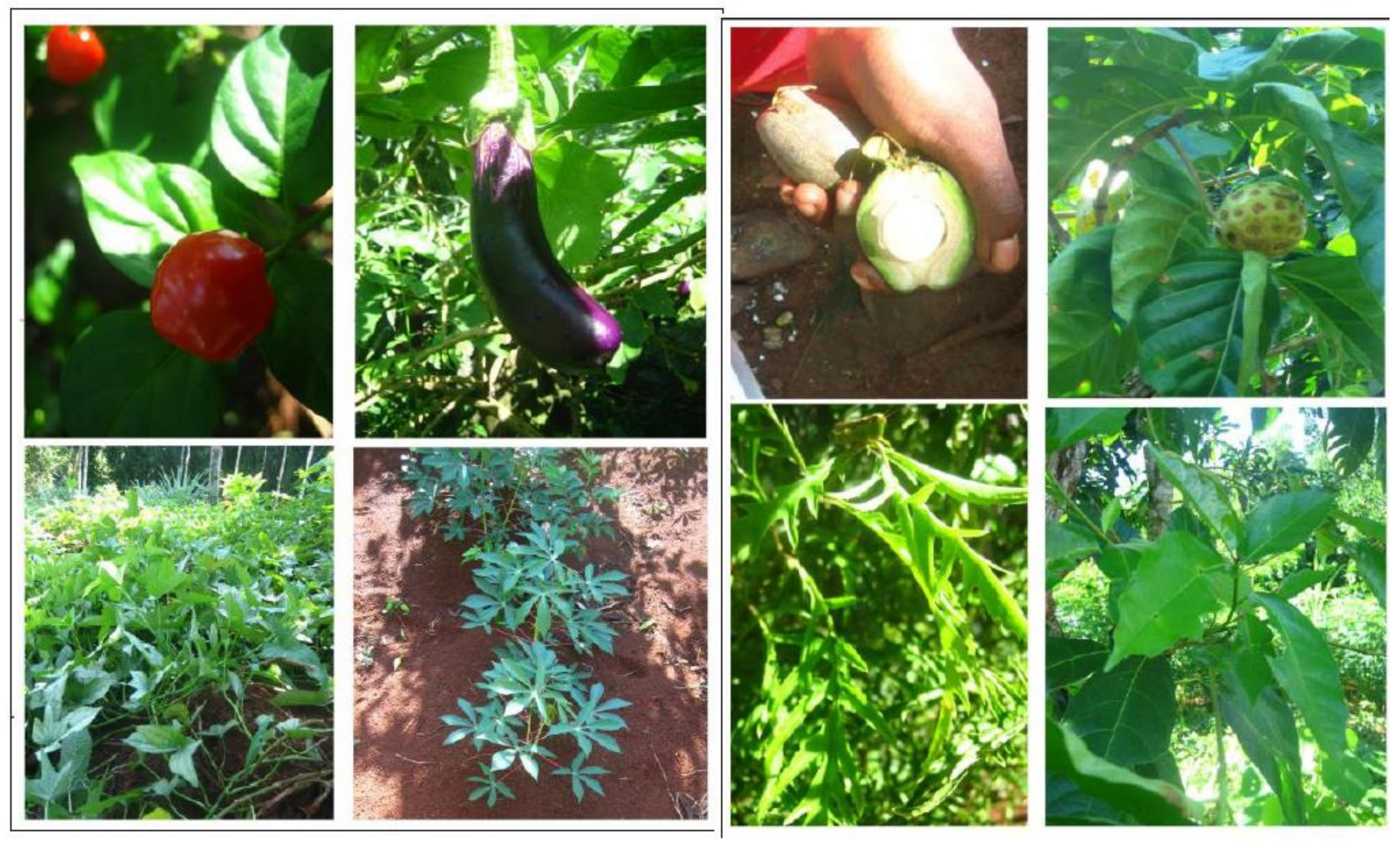 Geosciences 11 00387 g006