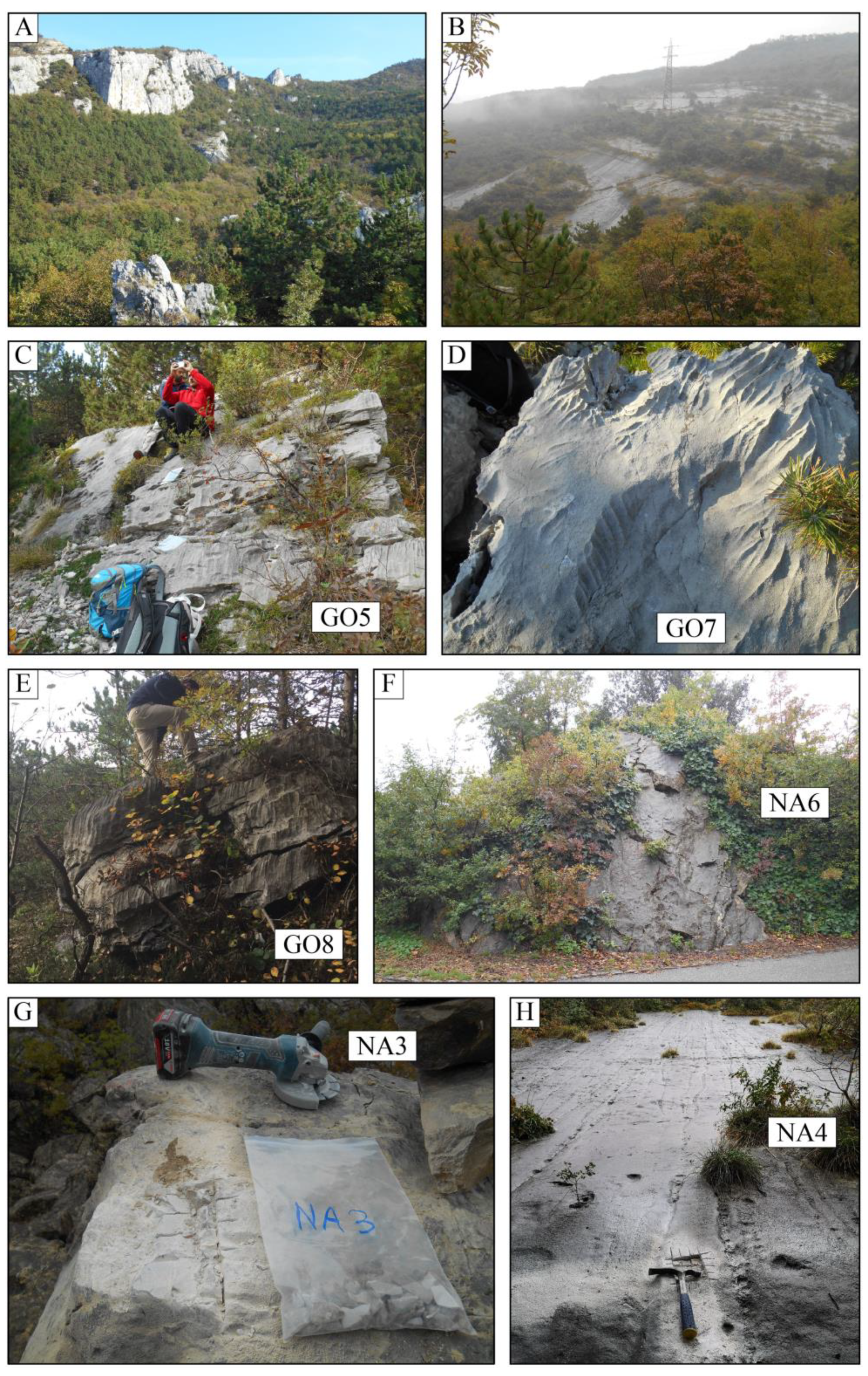 Geosciences 11 00404 g008