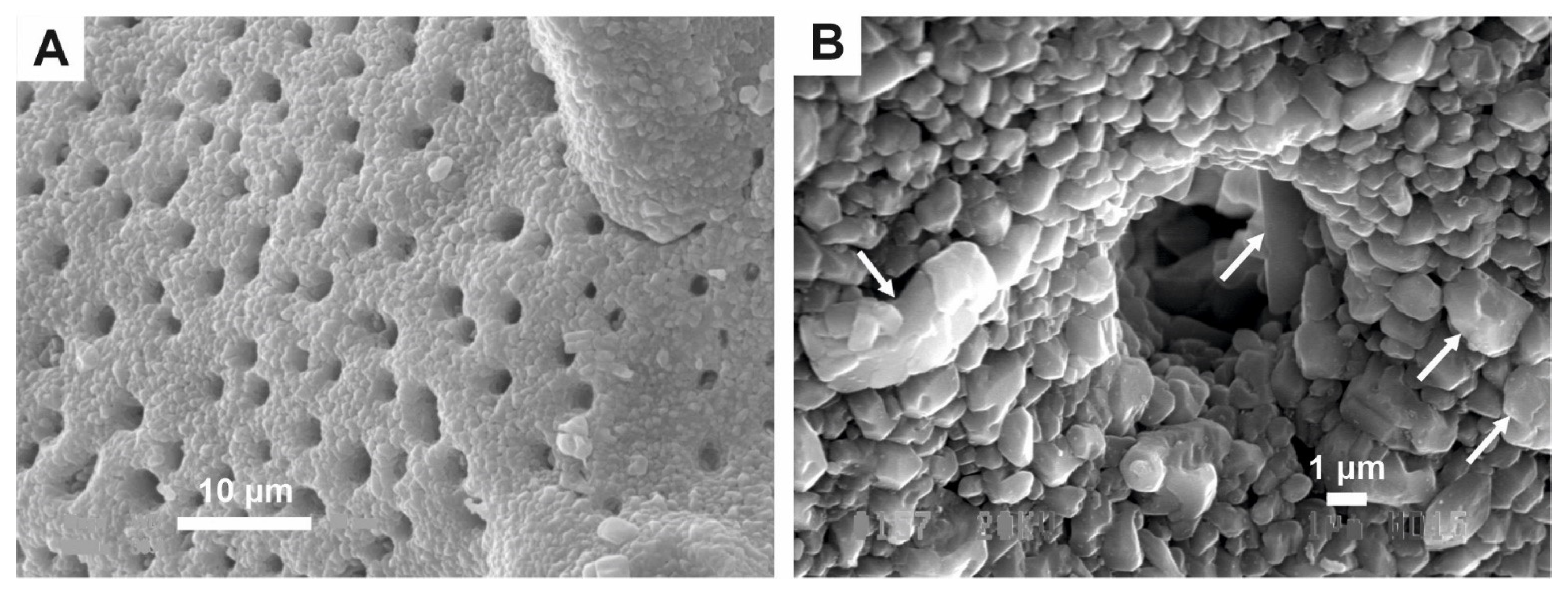 Geosciences 11 00419 g001