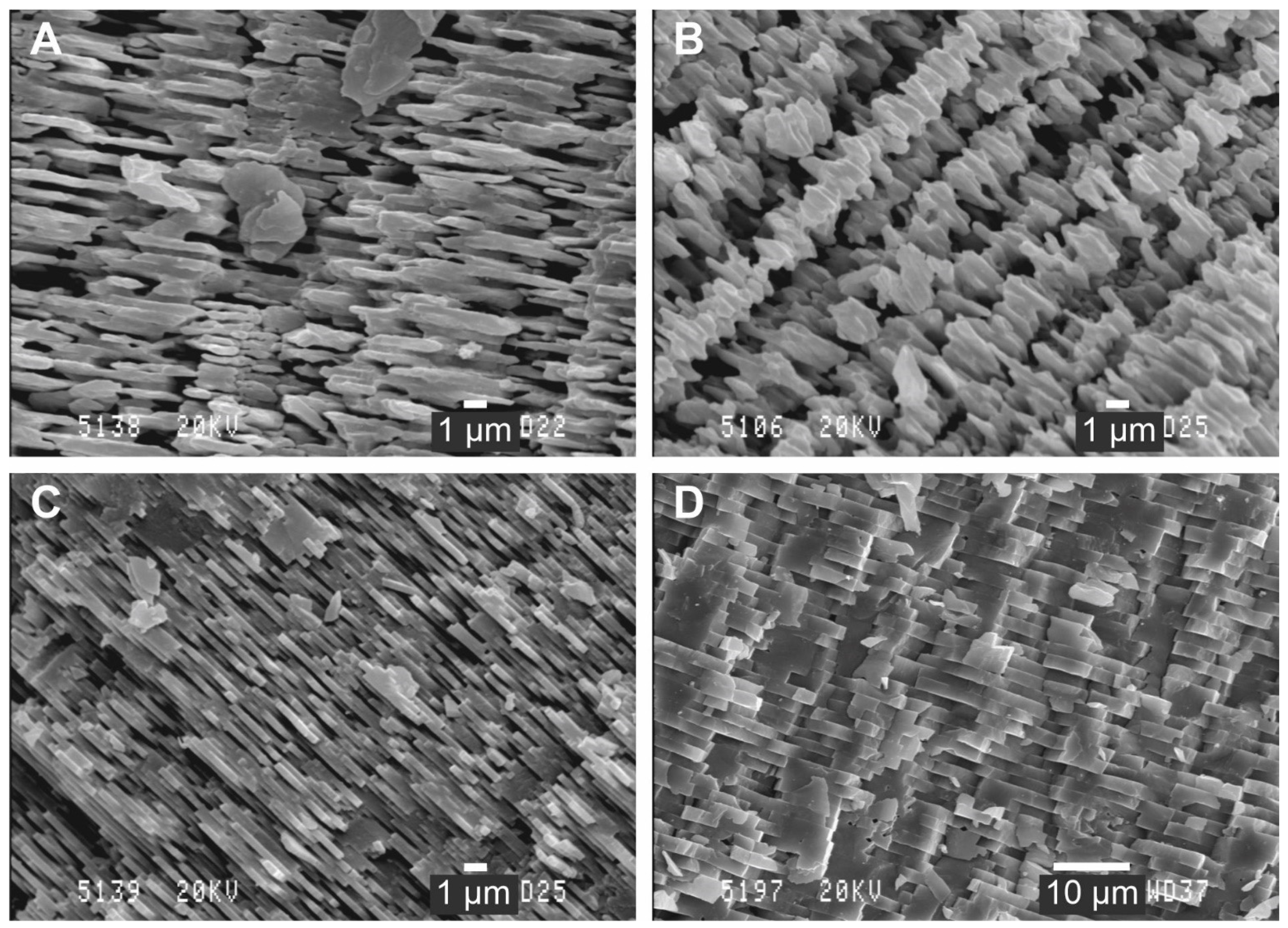 Geosciences 11 00419 g002