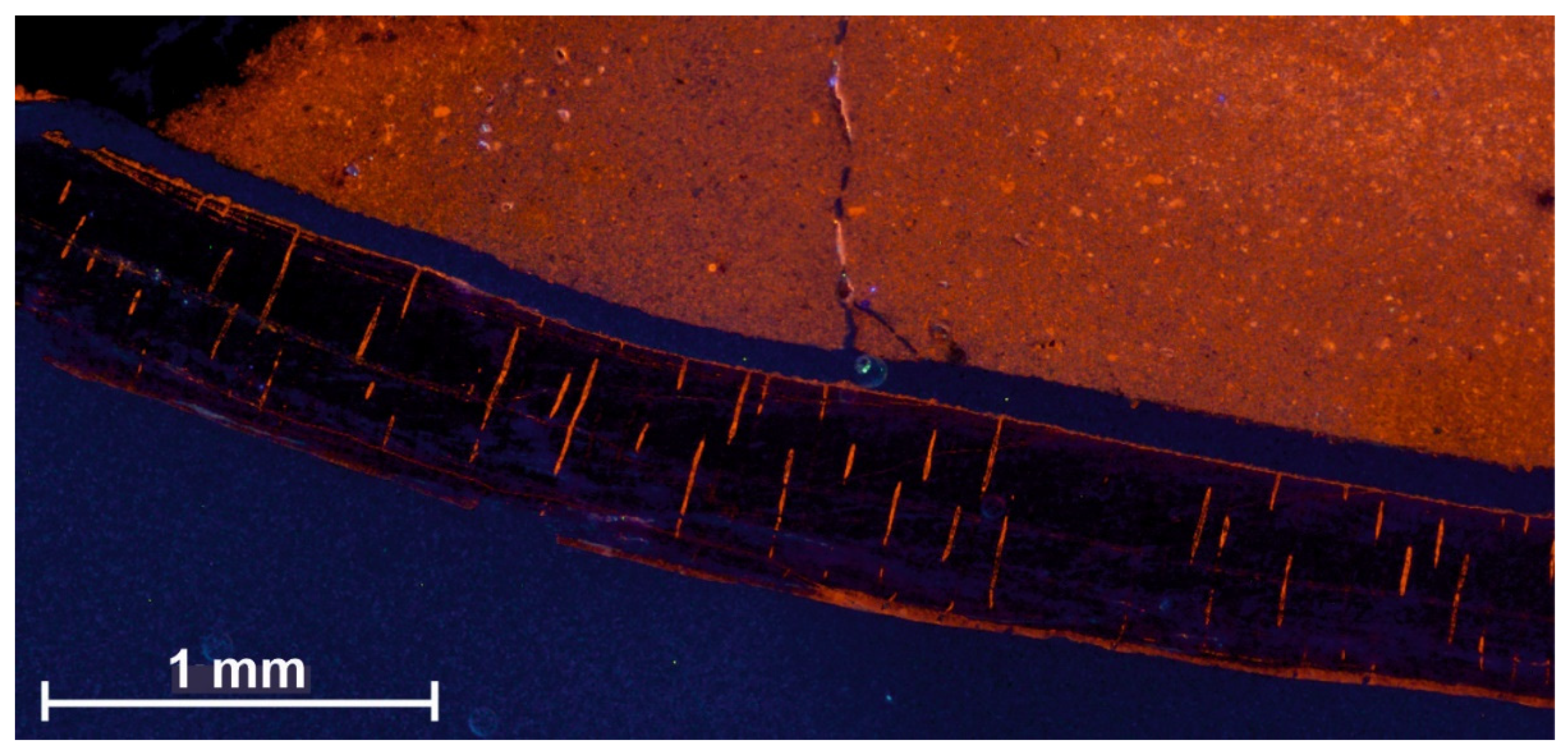 Geosciences 11 00419 g003