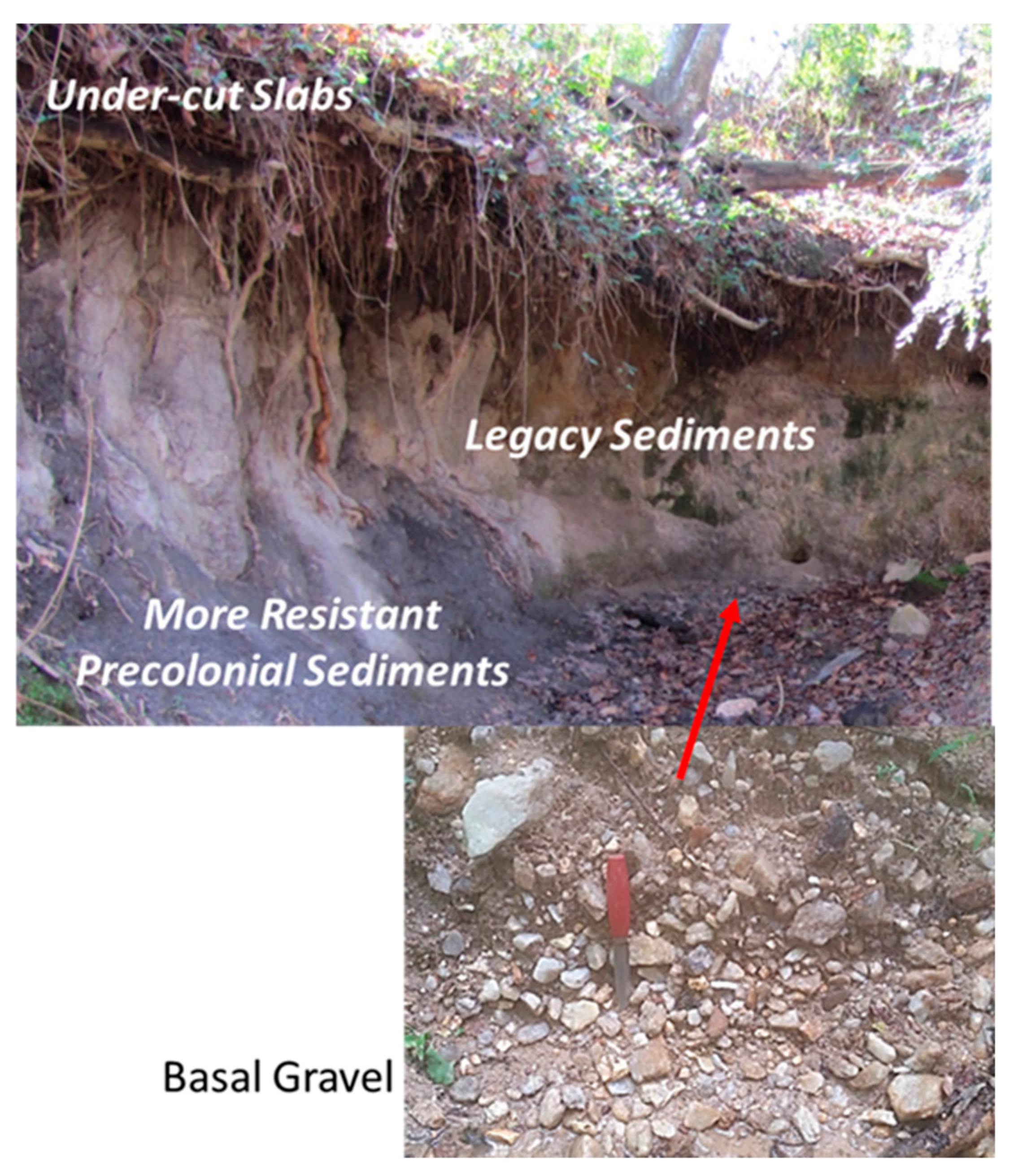 Geosciences 11 00423 g008 550