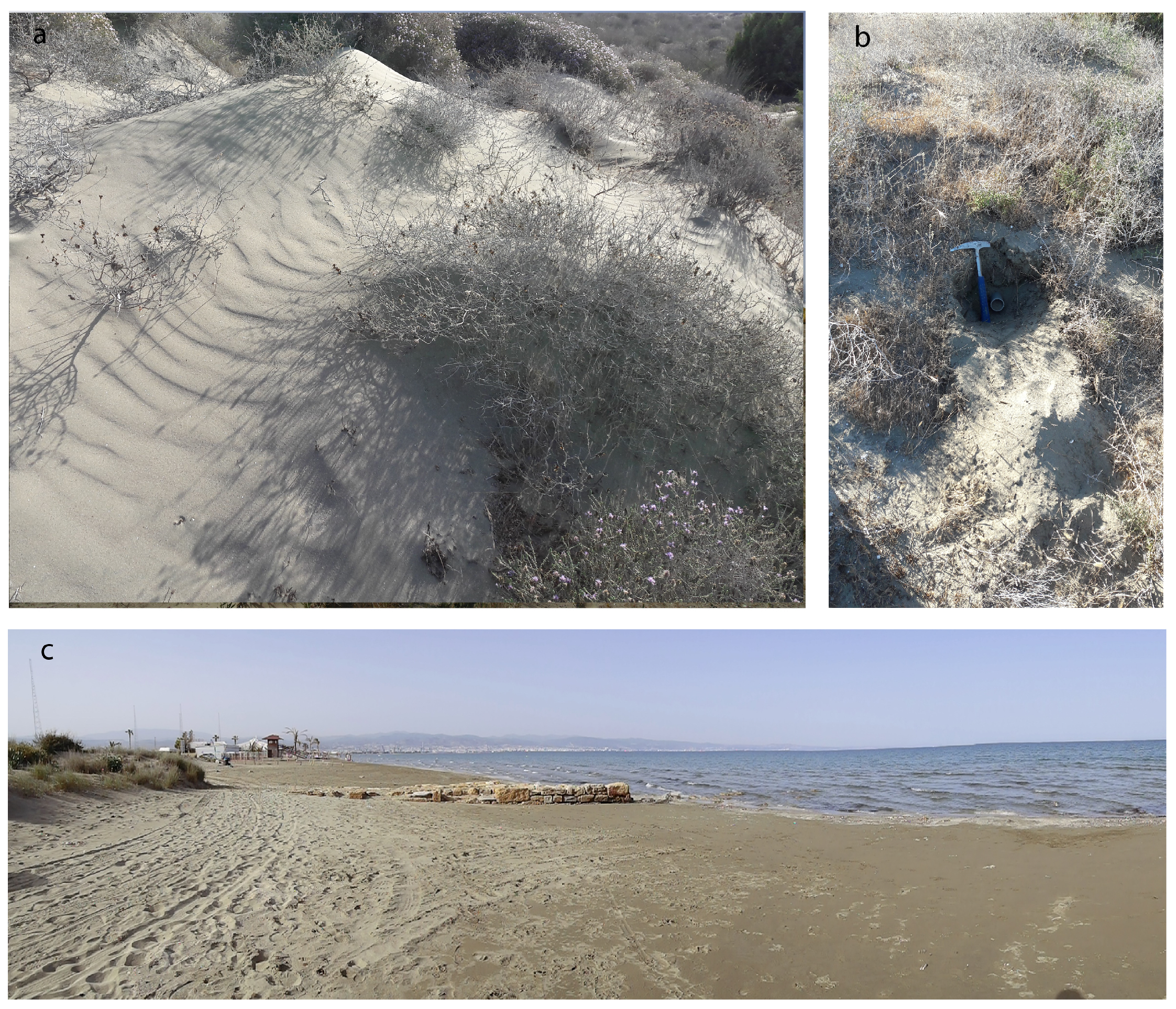 Geosciences 11 00448 g007