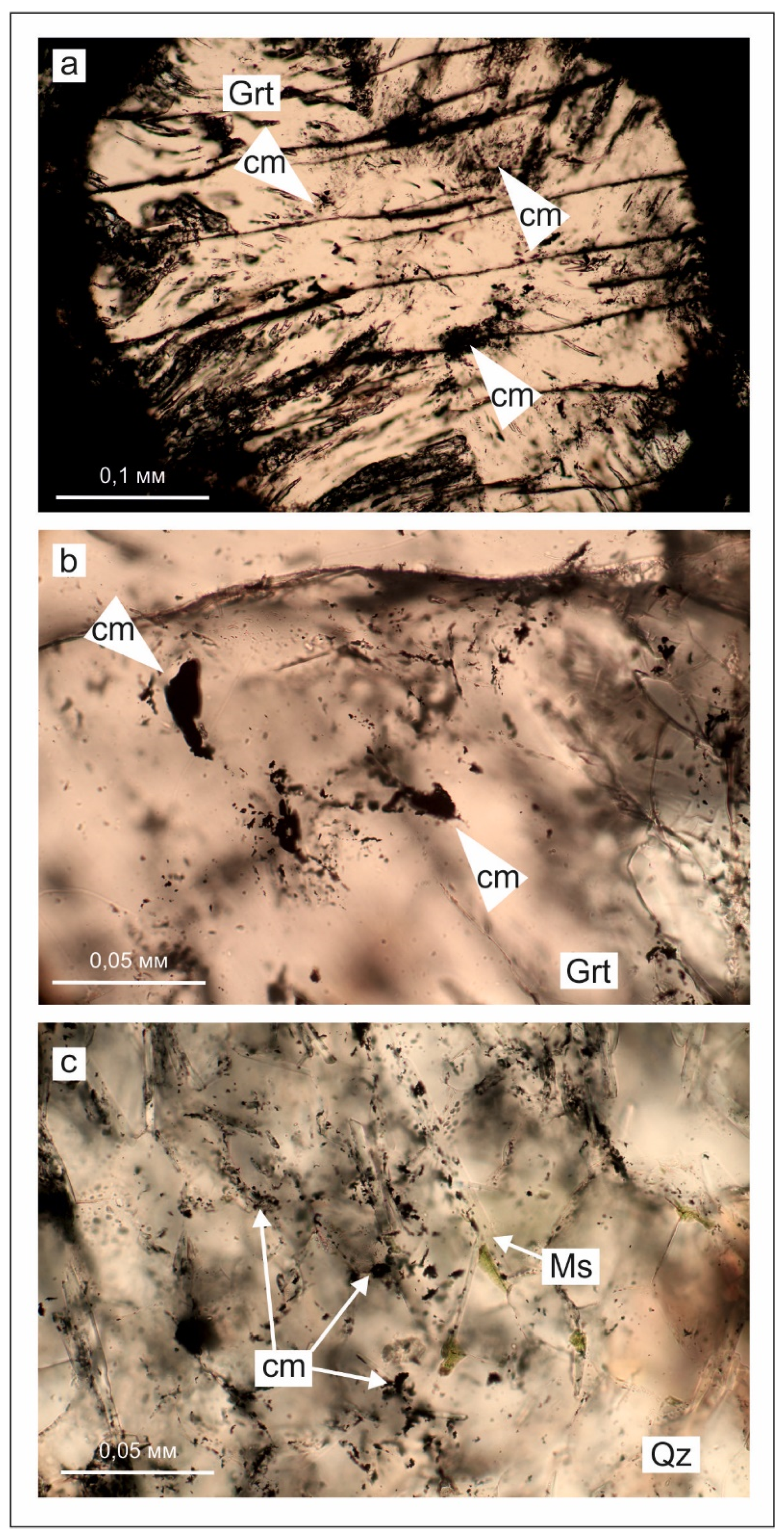 Geosciences 11 00452 g006