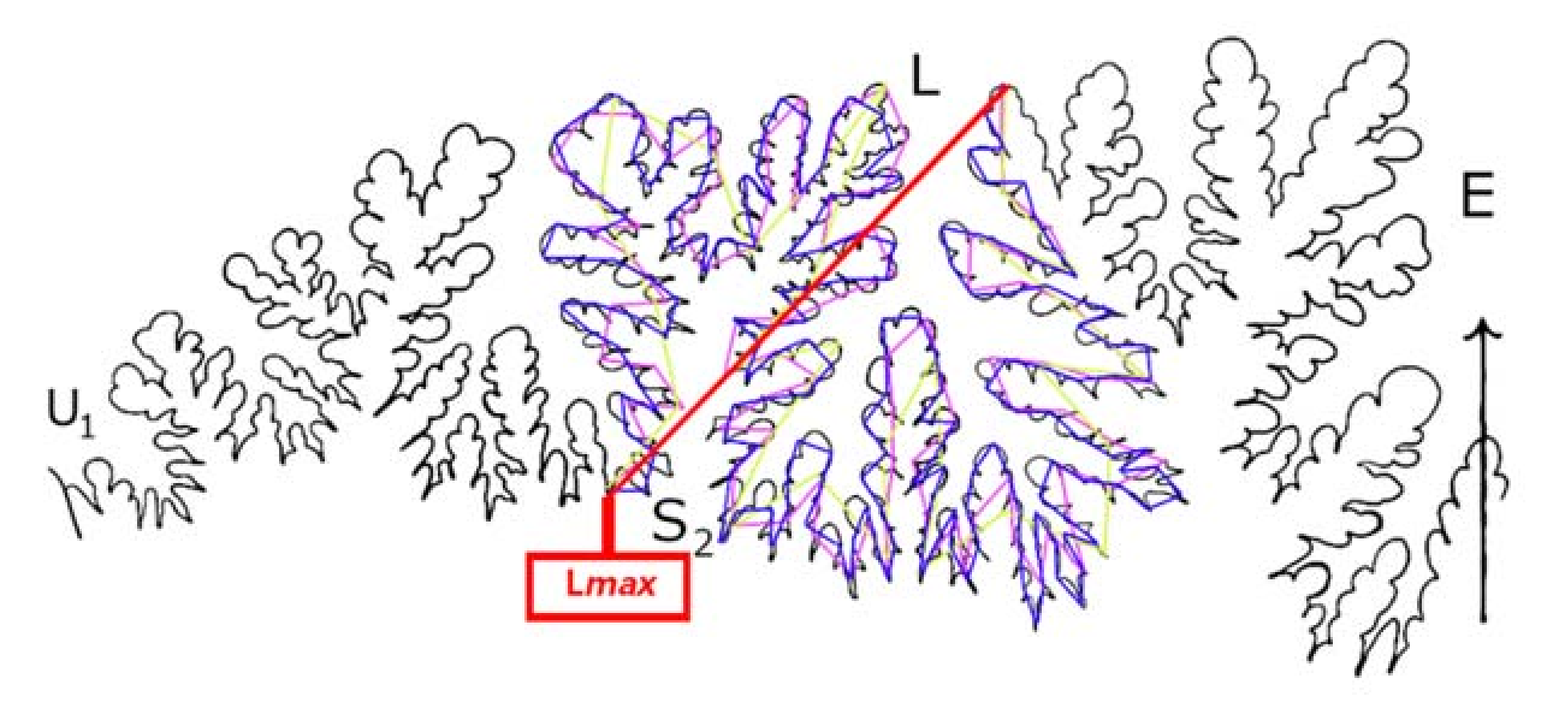 Geosciences 11 00476 g004