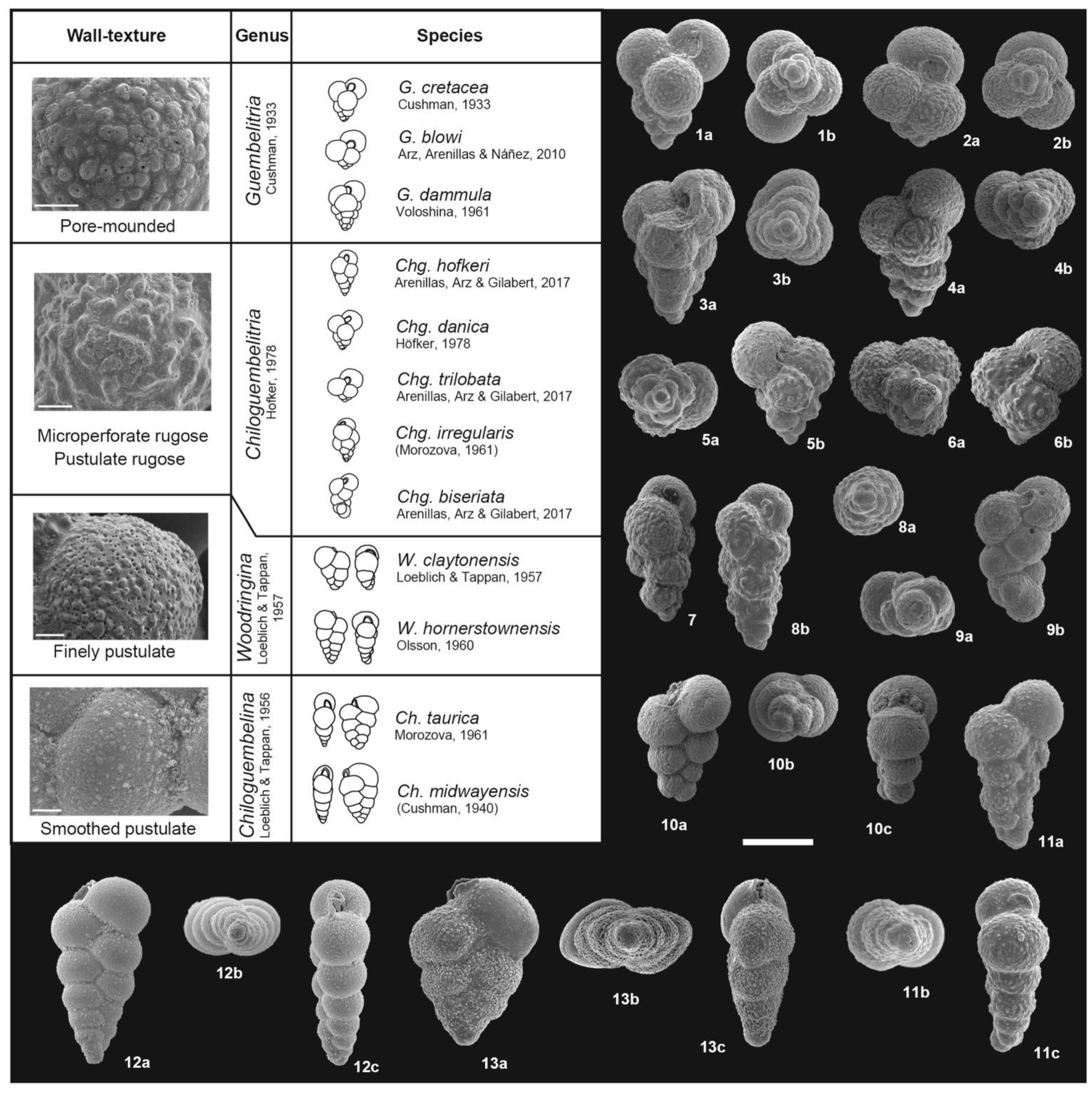 Geosciences 11 00479 g0a1 550