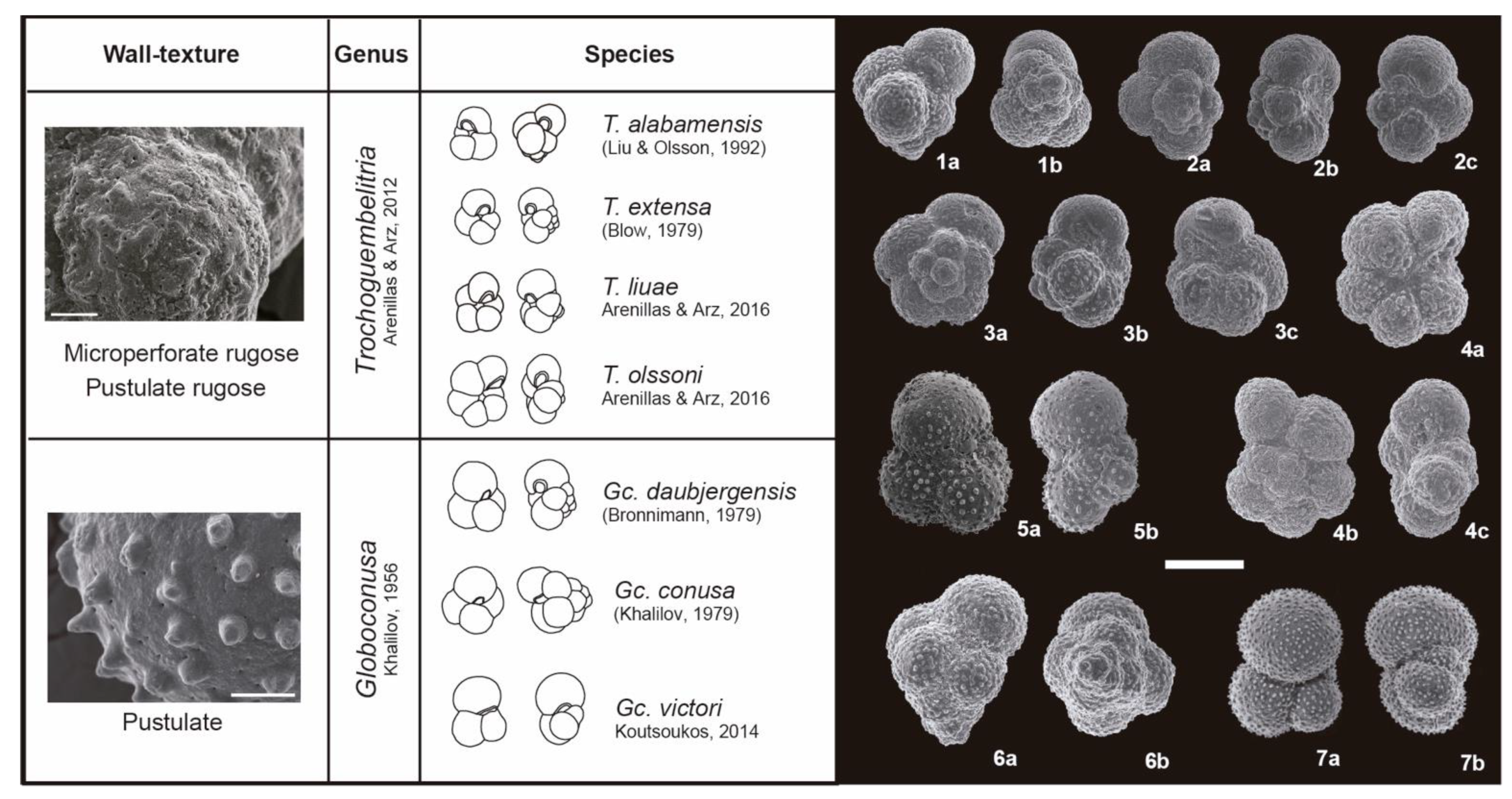 Geosciences 11 00479 g0a2 550