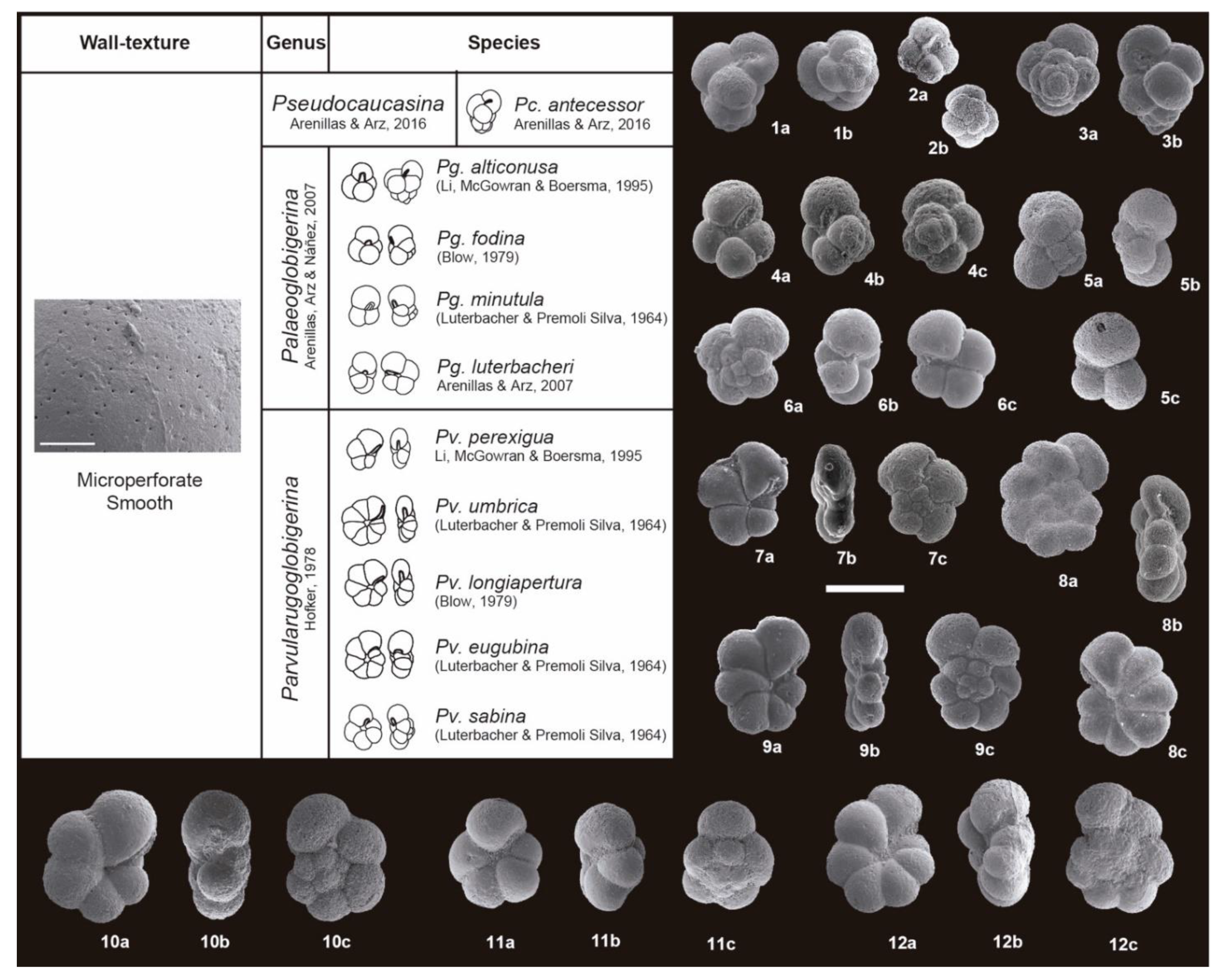 Geosciences 11 00479 g0a3 550