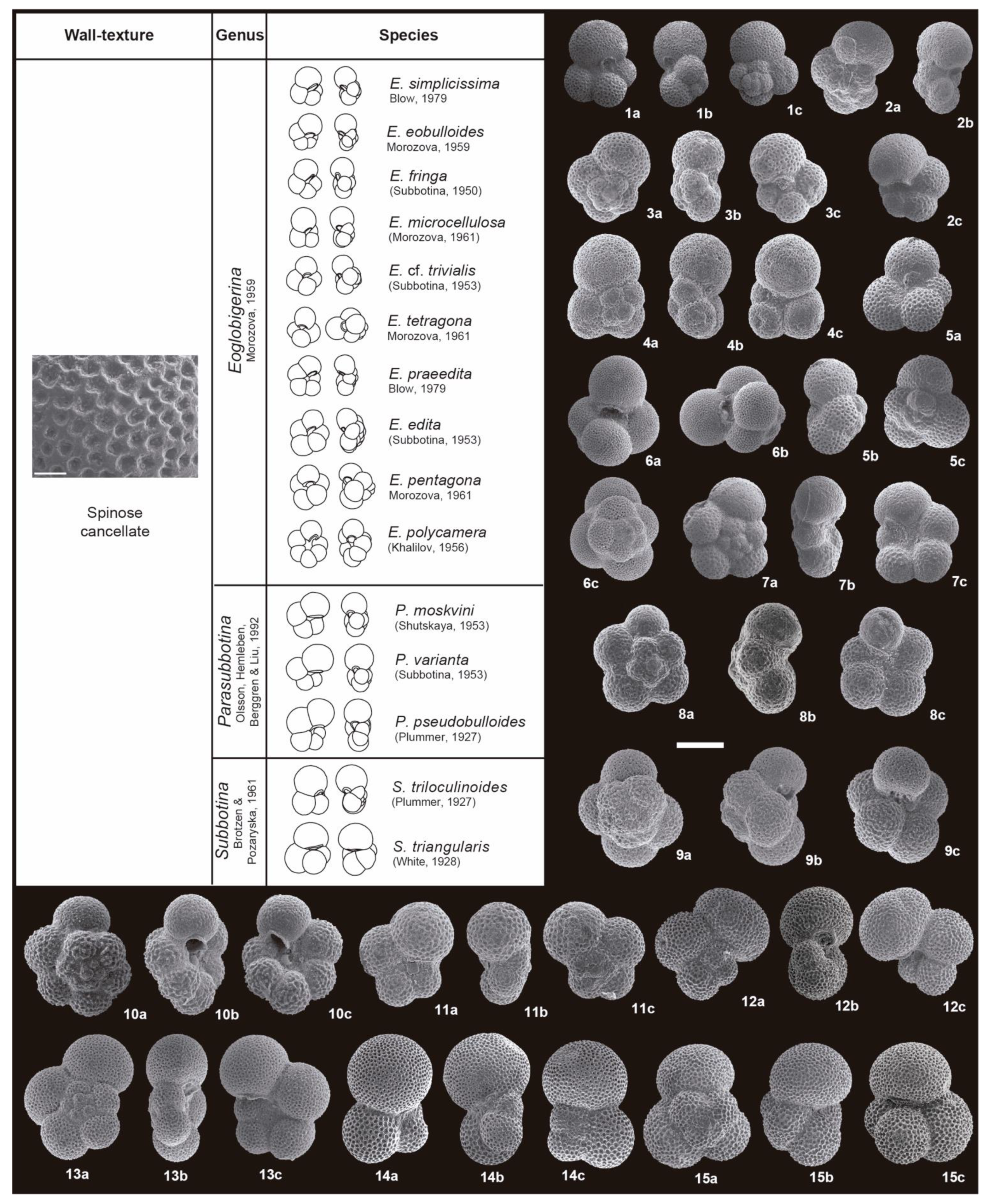 Geosciences 11 00479 g0a4 550