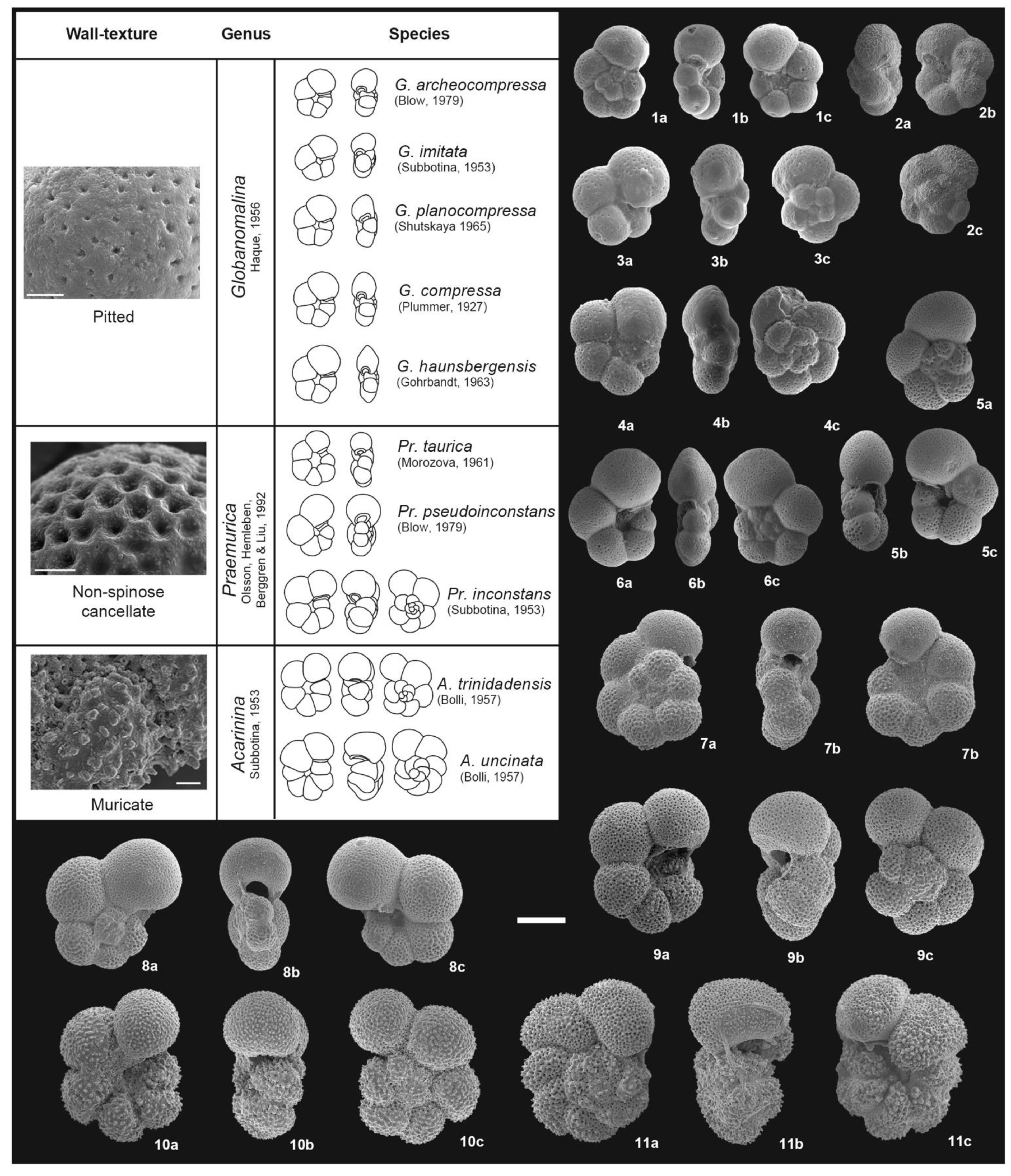 Geosciences 11 00479 g0a5 550