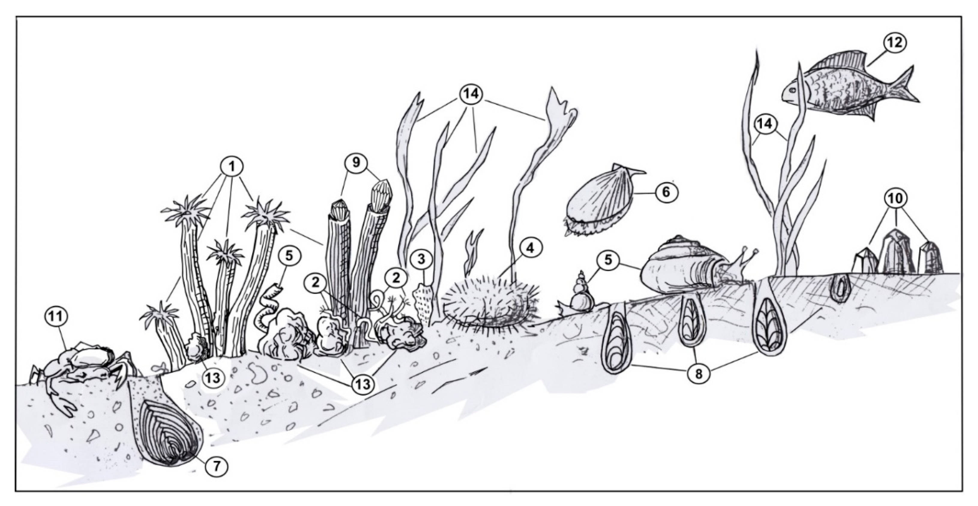 Geosciences 12 00021 g007 Geosciences 12 00021 g007