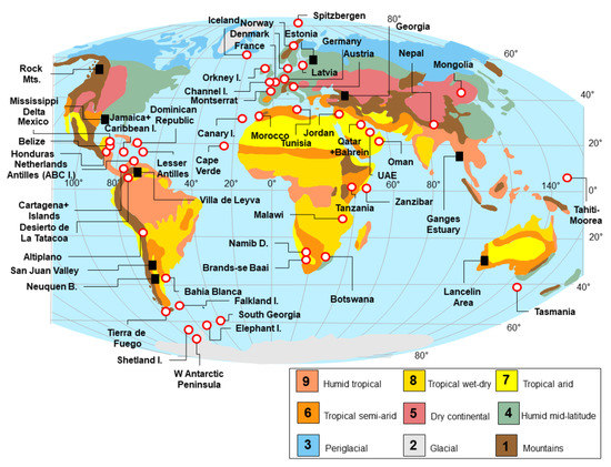 What is the Difference Between a Rock and a Mineral? - WorldAtlas