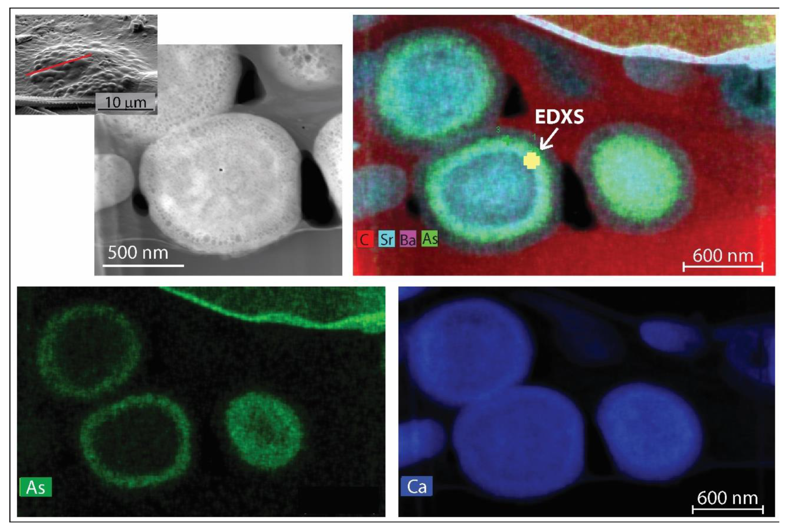Geosciences 12 00032 g006
