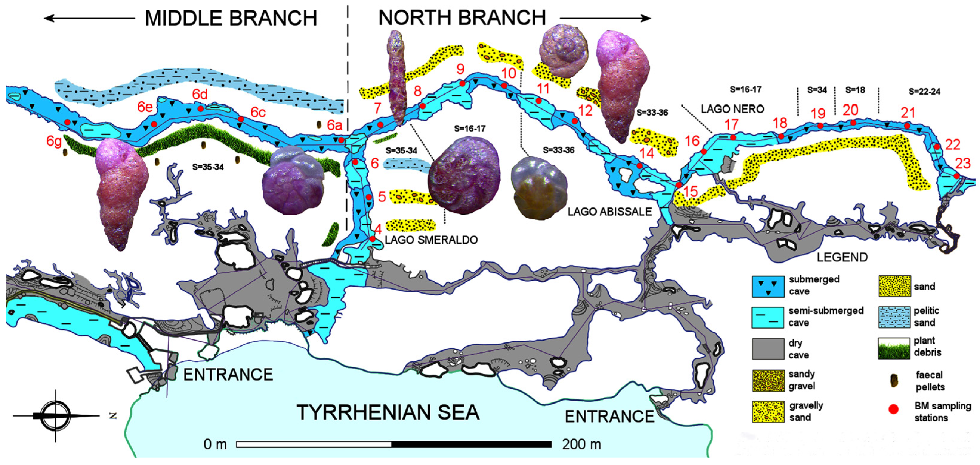 Geosciences 12 00042 g004 550