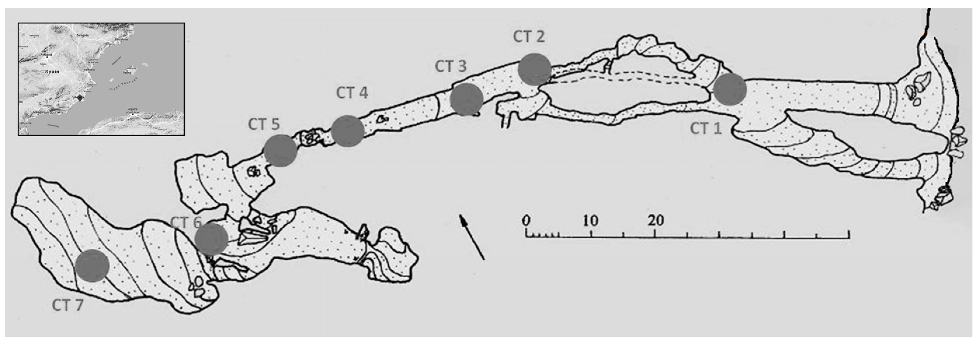 Geosciences 12 00042 g005 550