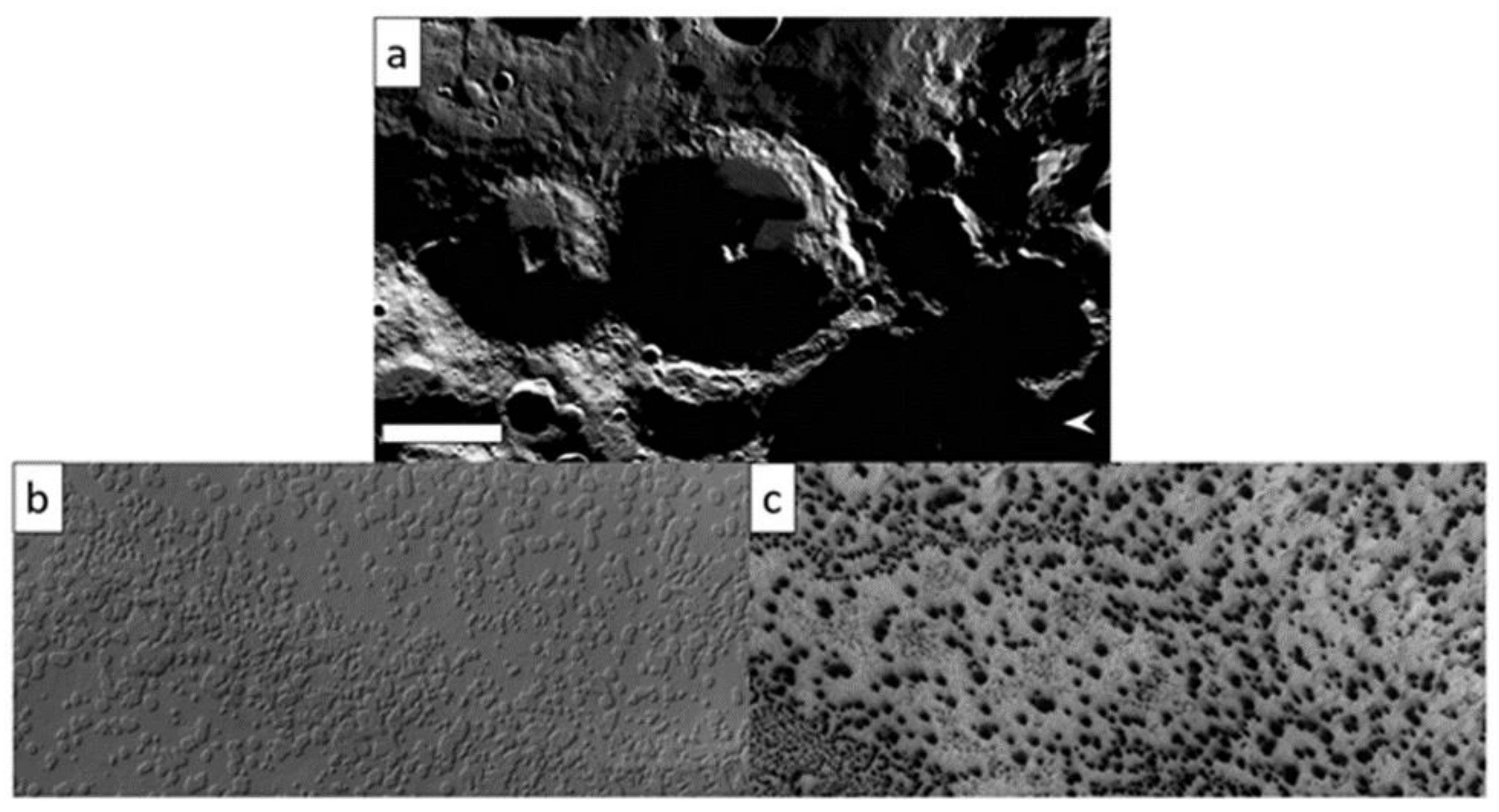Geosciences 12 00051 g002