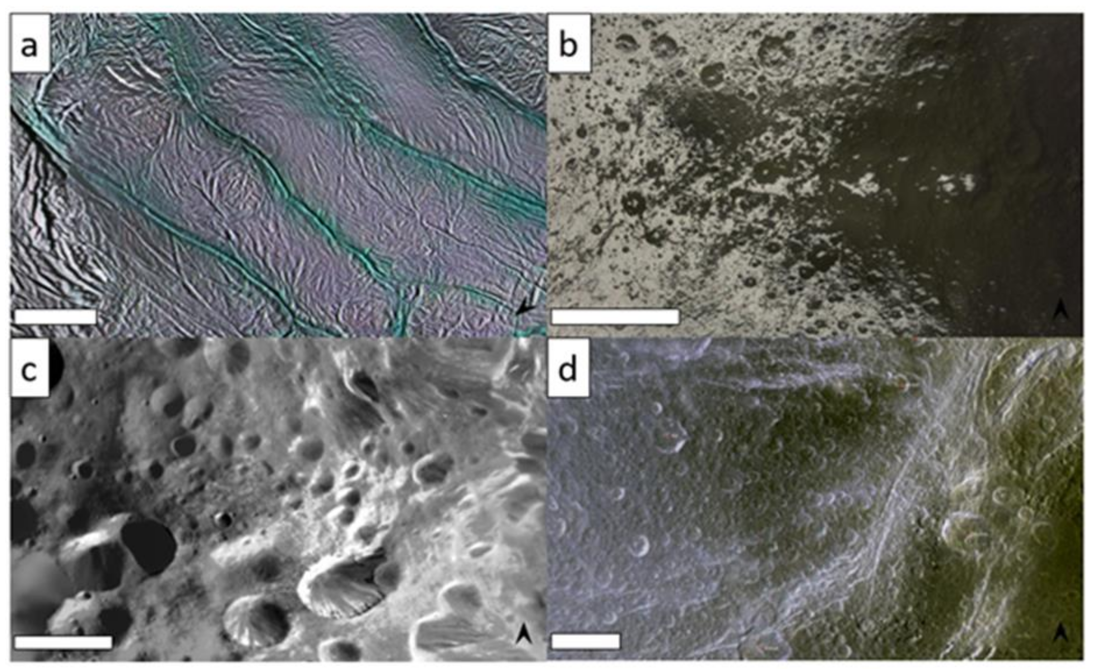 Geosciences 12 00051 g008